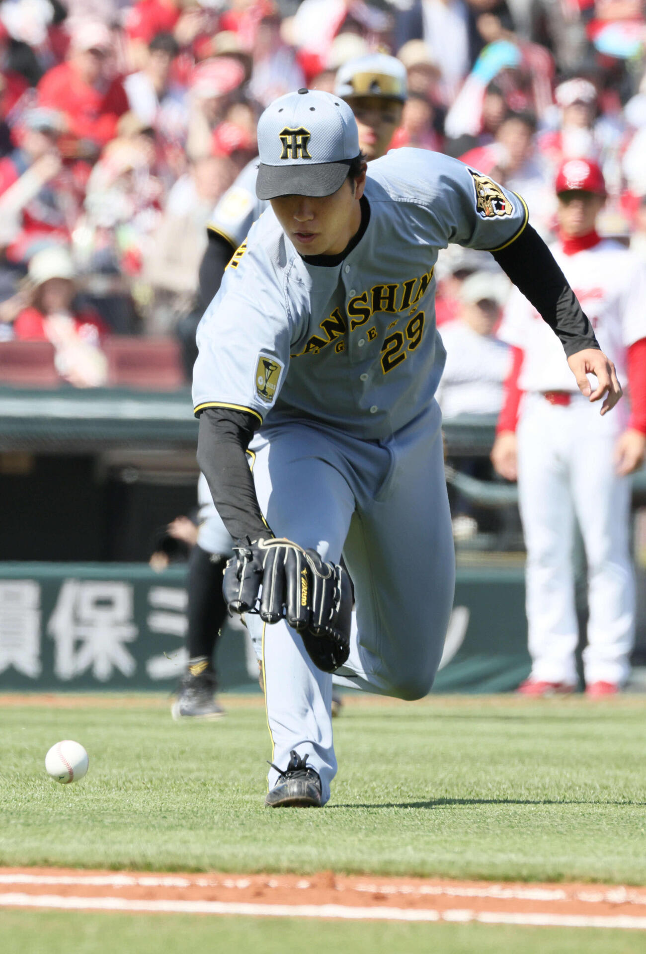 広島対阪神　1回裏広島無死一塁、中村奨のバントを好処理する阪神先発の高橋（撮影・加藤孝規）