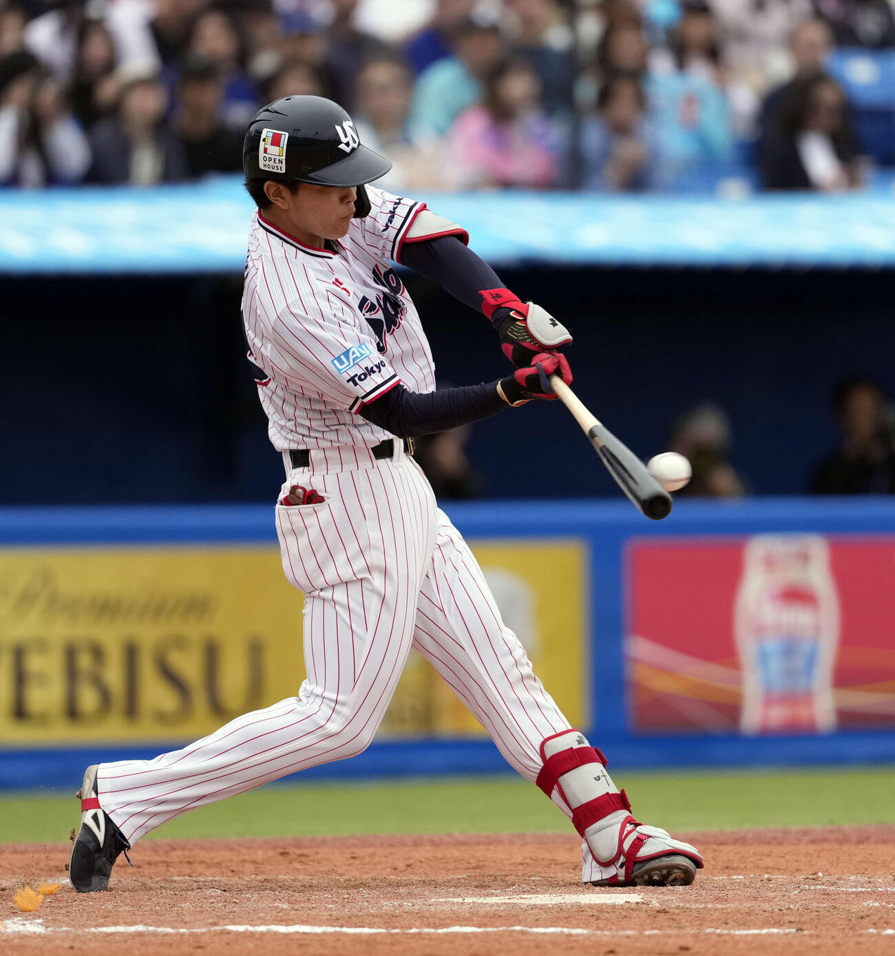 ヤクルト対中日　7回裏ヤクルト無死一、二塁、左前打を放つ鈴木叶（撮影・小島史椰）