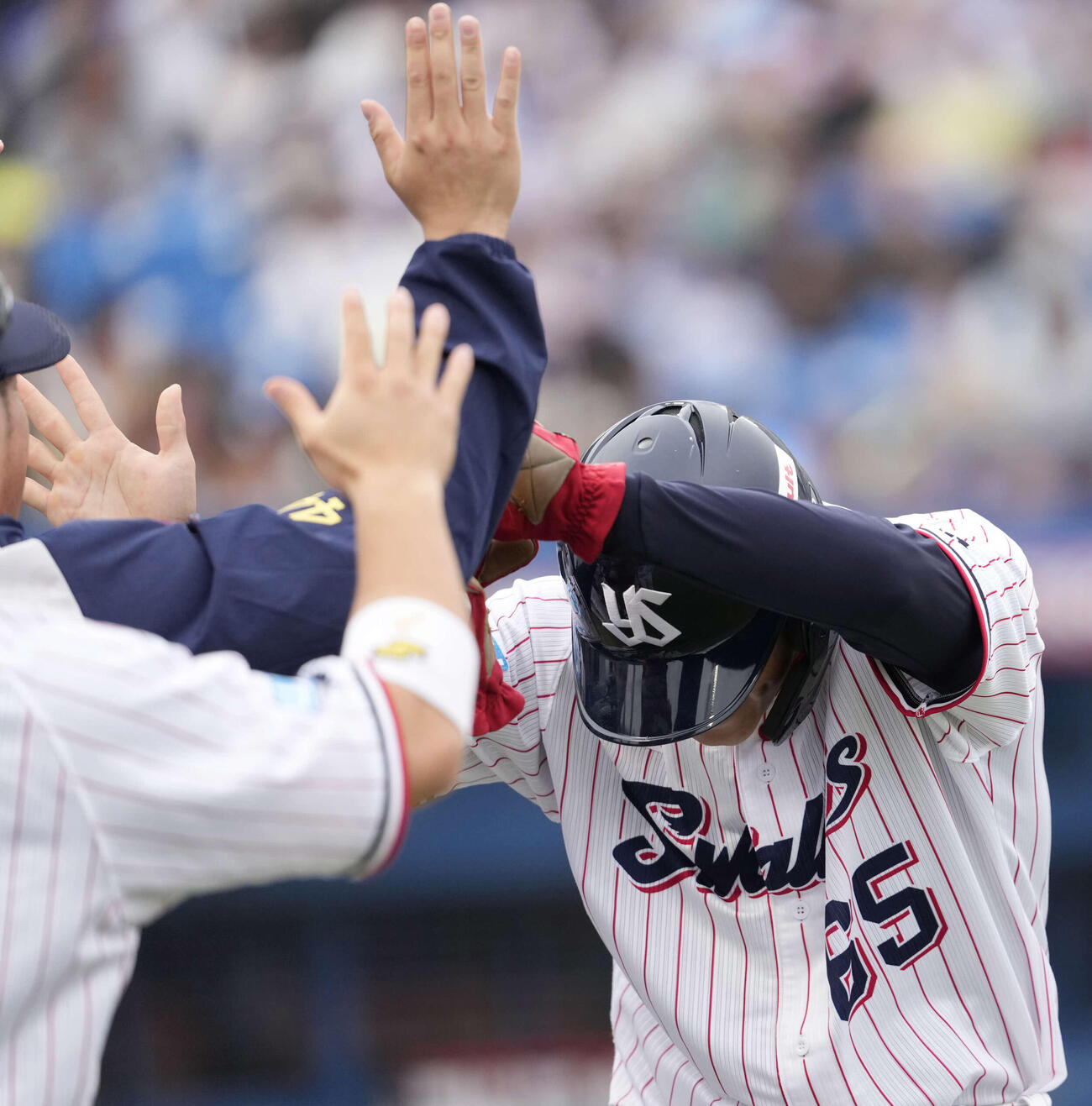 ヤクルト対中日　7回裏ヤクルト無死満塁、長岡の同点2点適時打で生還しナインから祝福される鈴木叶（撮影・小島史椰）