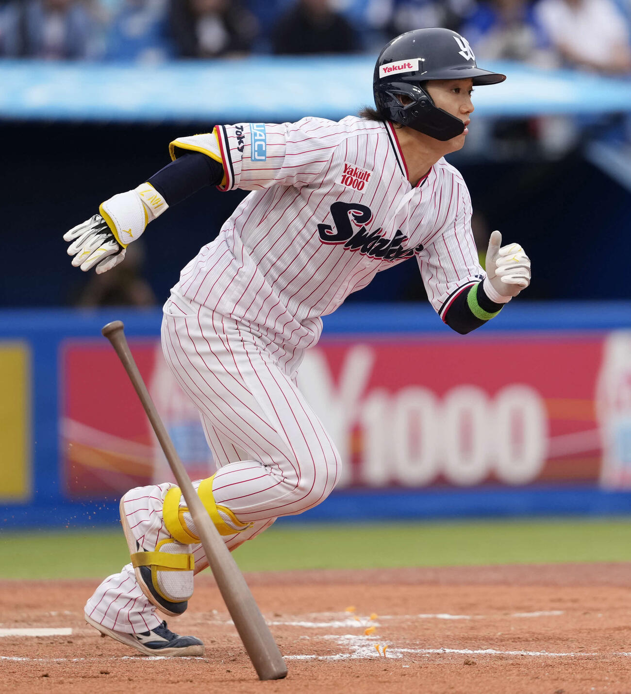 ヤクルト対中日　7回裏ヤクルト無死満塁、同点の2点適時打を放つ長岡（撮影・小島史椰）