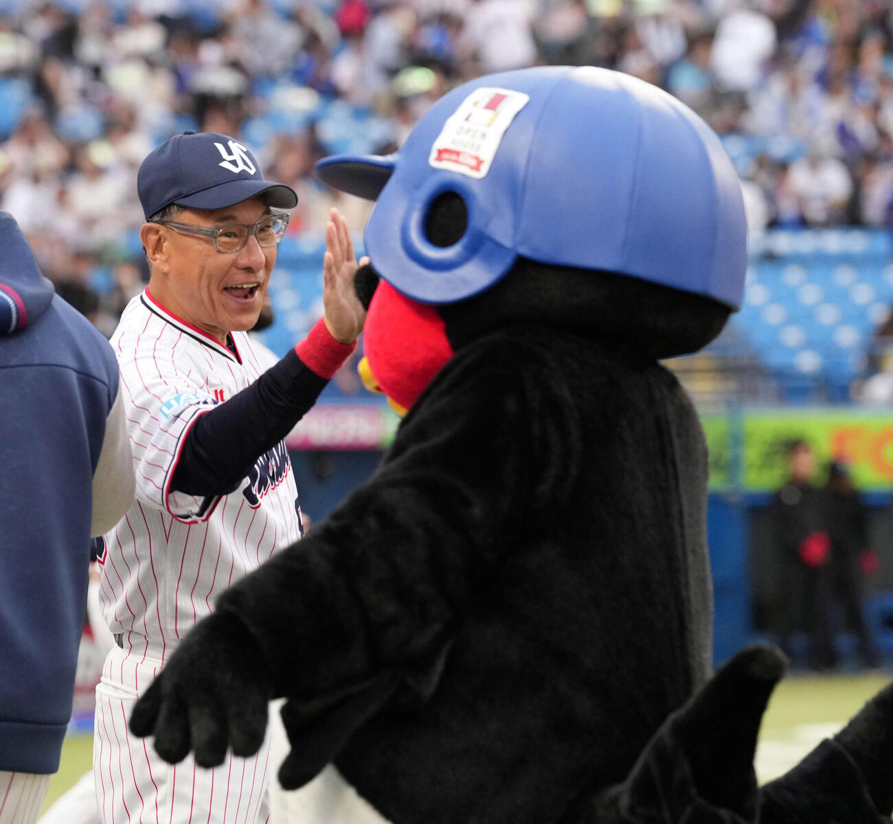 つば九郎とタッチを交わすヤクルト池山監督（2026年4月撮影）