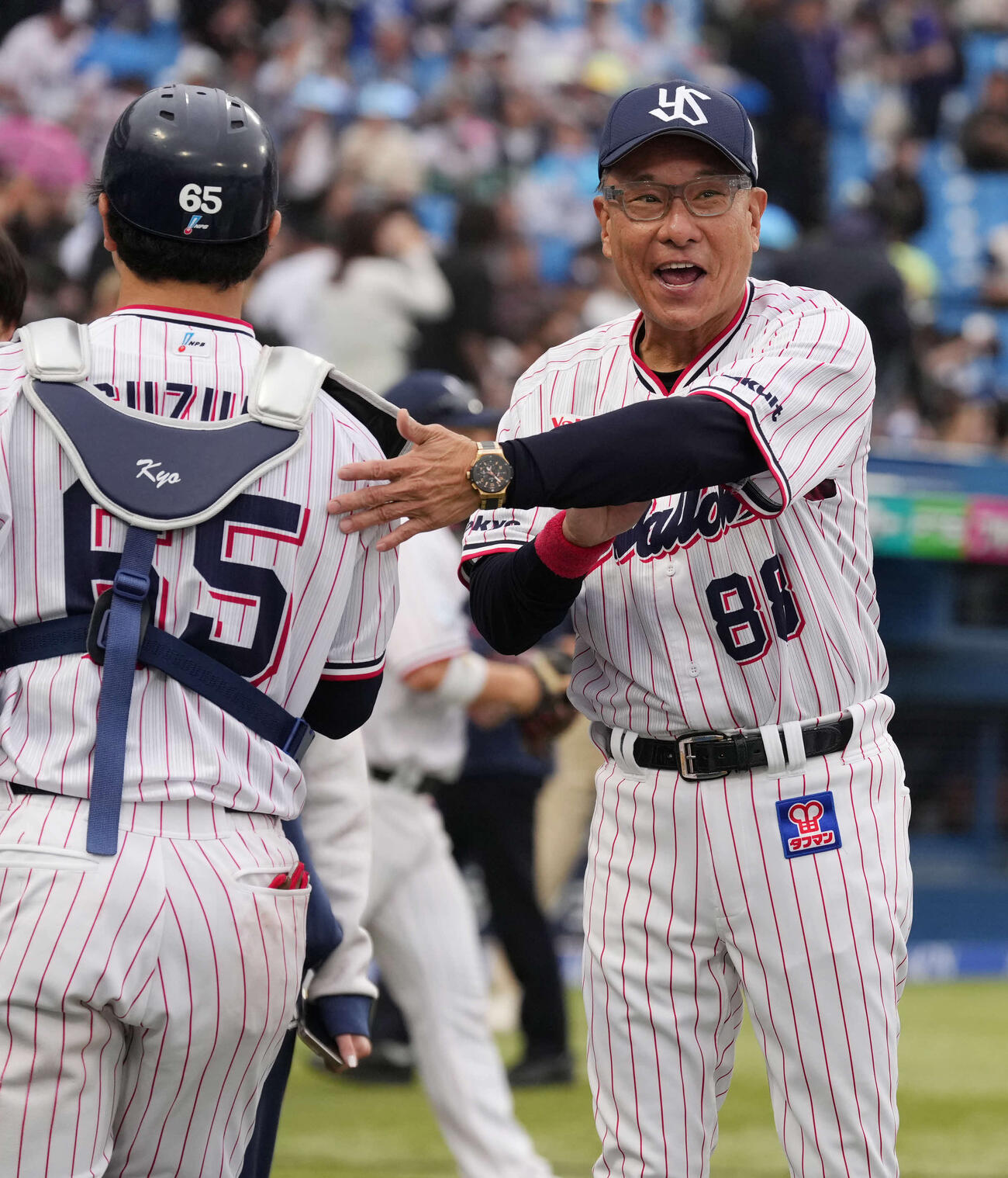 声を出すヤクルト池山隆寛監督（2026年4月撮影）