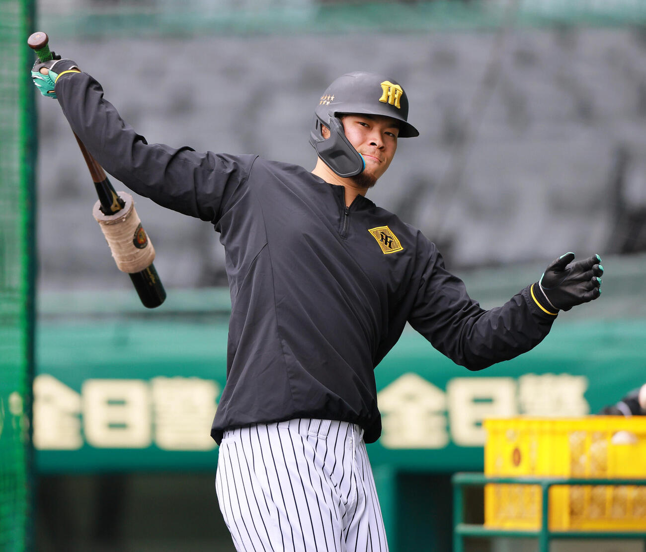 阪神対ヤクルト　試合前の練習に励む阪神佐藤（撮影・上山淳一）