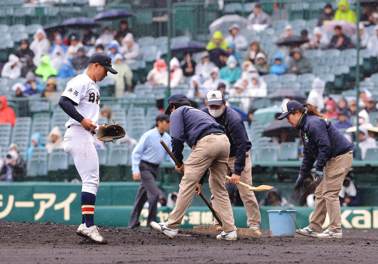 センバツでグラウンド整備を行う阪神園芸のスタッフ（2026年撮影）
