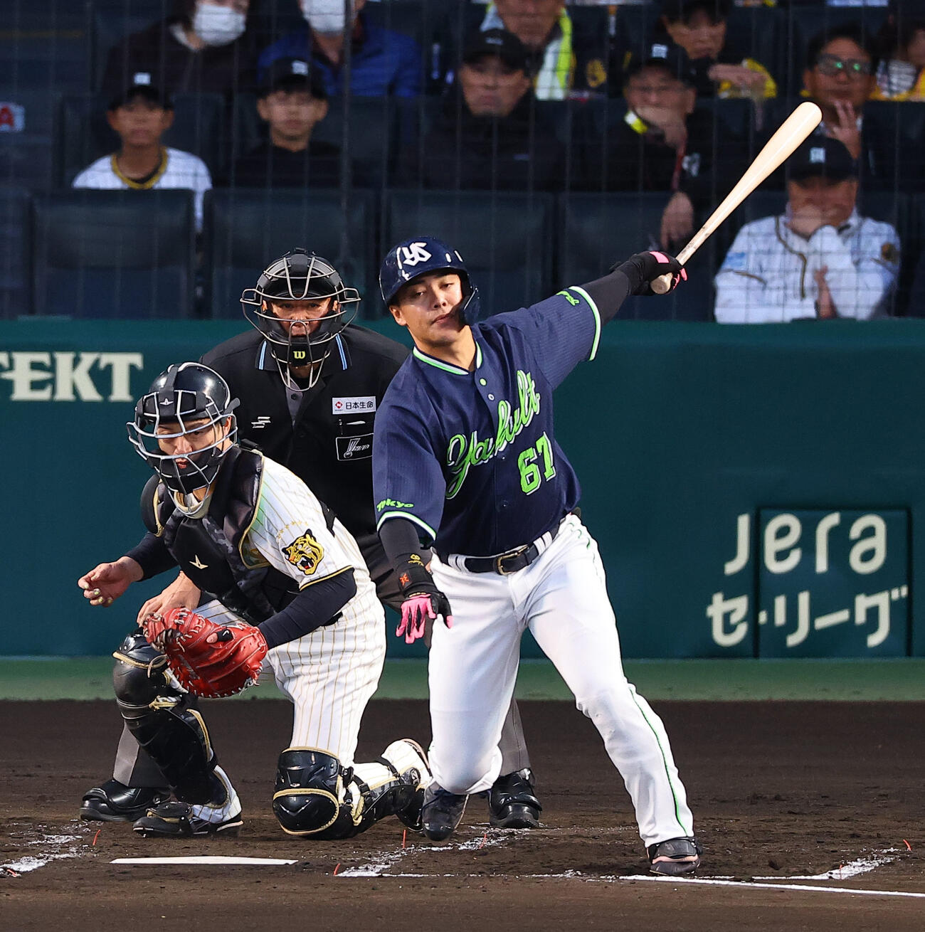 阪神対ヤクルト　2回表ヤクルト2死、伊藤は三振に倒れる（撮影・上田博志）