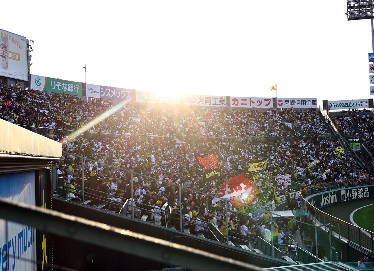 阪神対ヤクルト　ライトスタンドで応援する阪神ファン（撮影・上田博志）