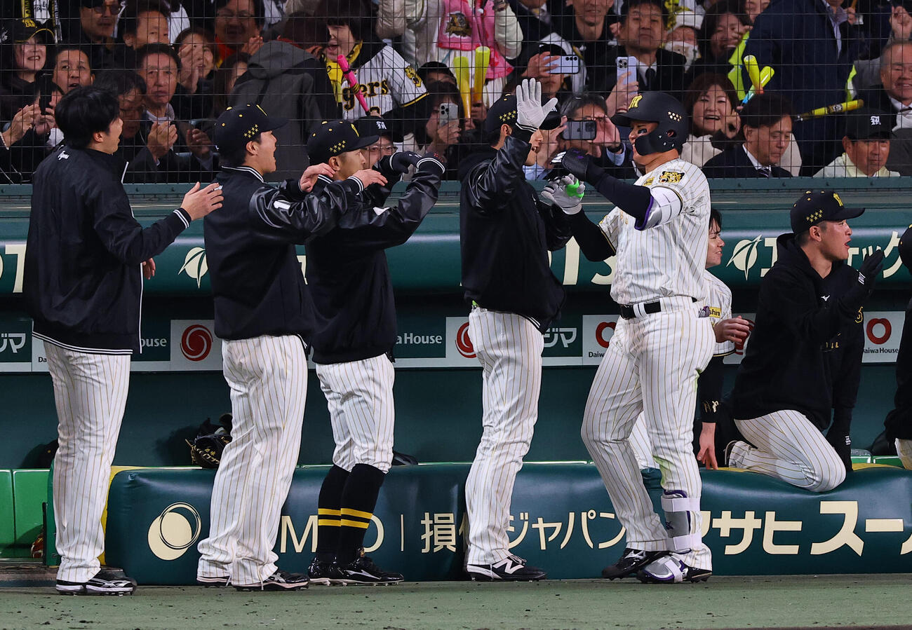 阪神対ヤクルト　5回裏阪神2死二塁、2点本塁打を放った森下翔太をハイタッチで出迎えるナイン（撮影・上田博志）
