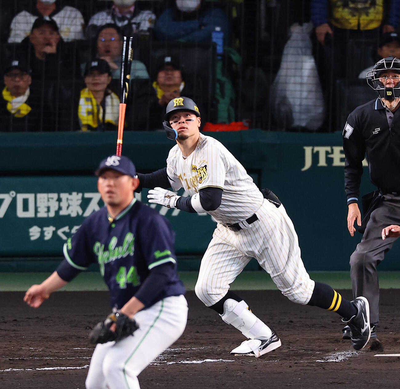 阪神対ヤクルト　8回裏阪神2死一塁、佐藤は2点本塁打を放つ（撮影・上田博志）