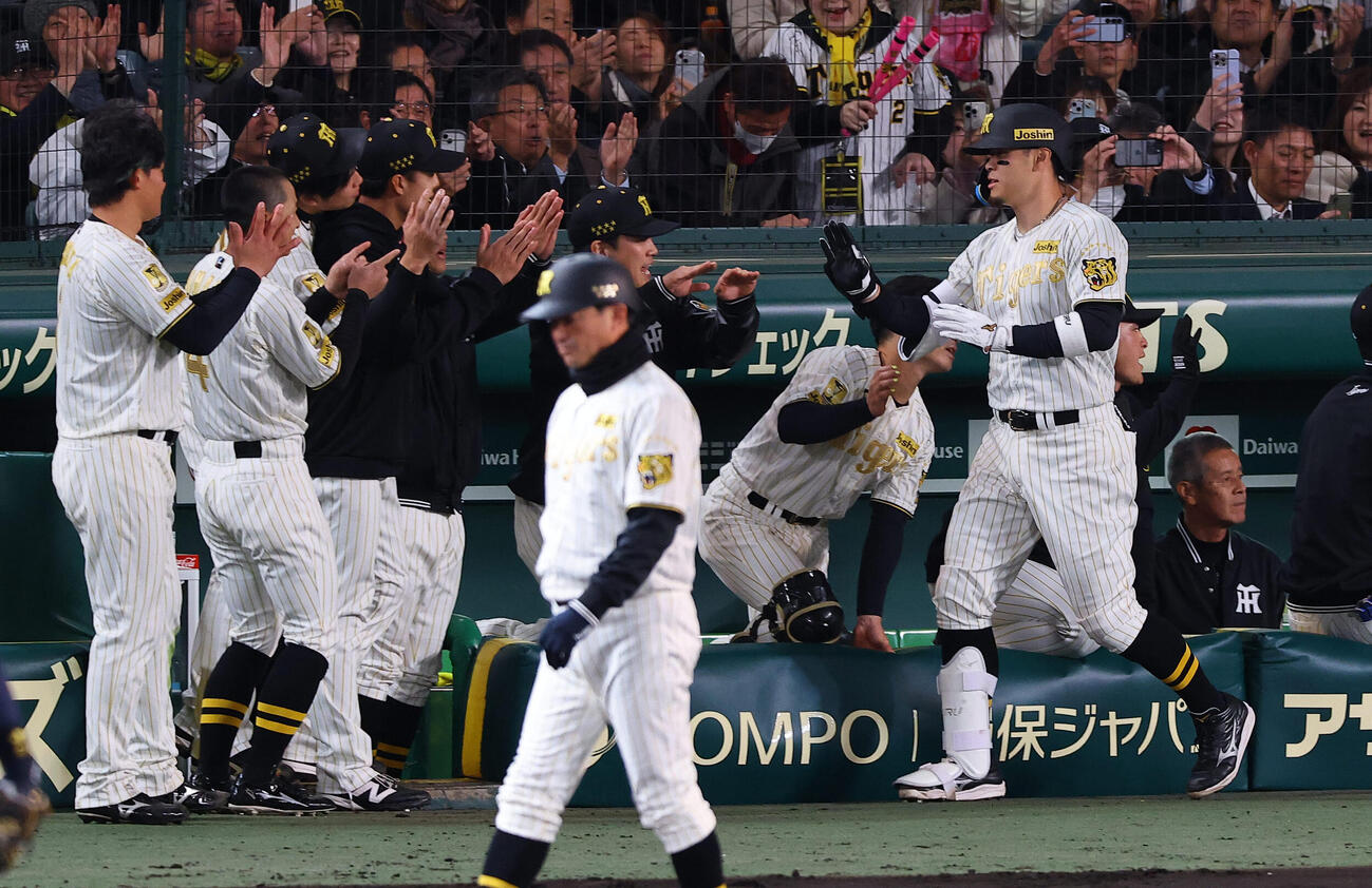 阪神対ヤクルト　8回裏阪神2死一塁、佐藤は2点本塁打を放つ（撮影・上田博志）