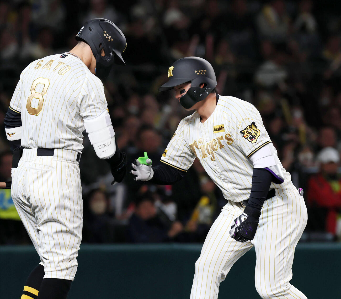 阪神対ヤクルト　5回裏阪神2死二塁、森下（右）は2点本塁打を放ち出迎える次打者佐藤とタッチ（撮影・加藤哉）