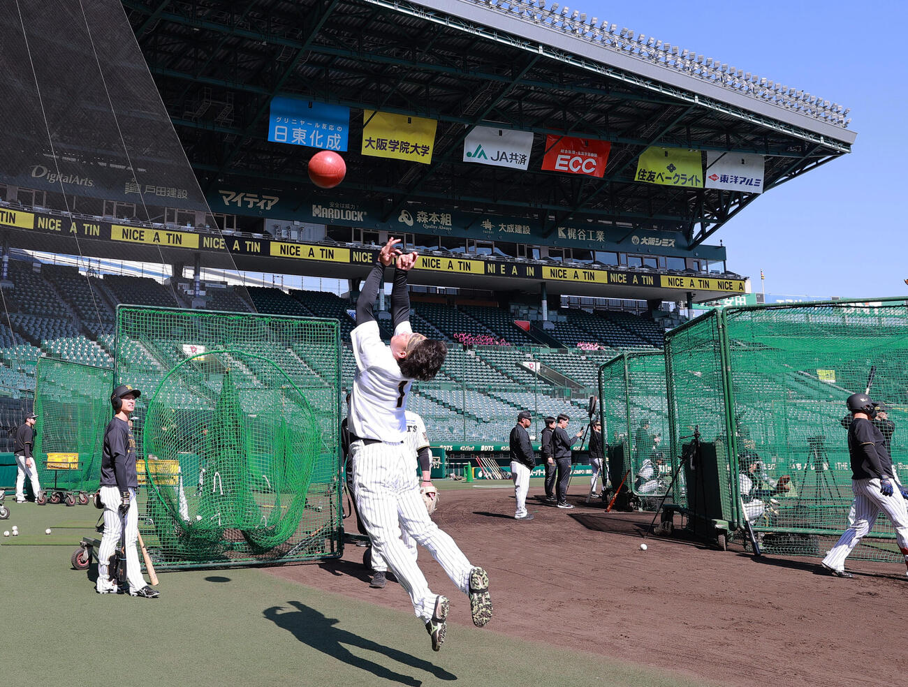 阪神対ヤクルト　試合前、トレーニングに励む阪神森下（撮影・上山淳一）