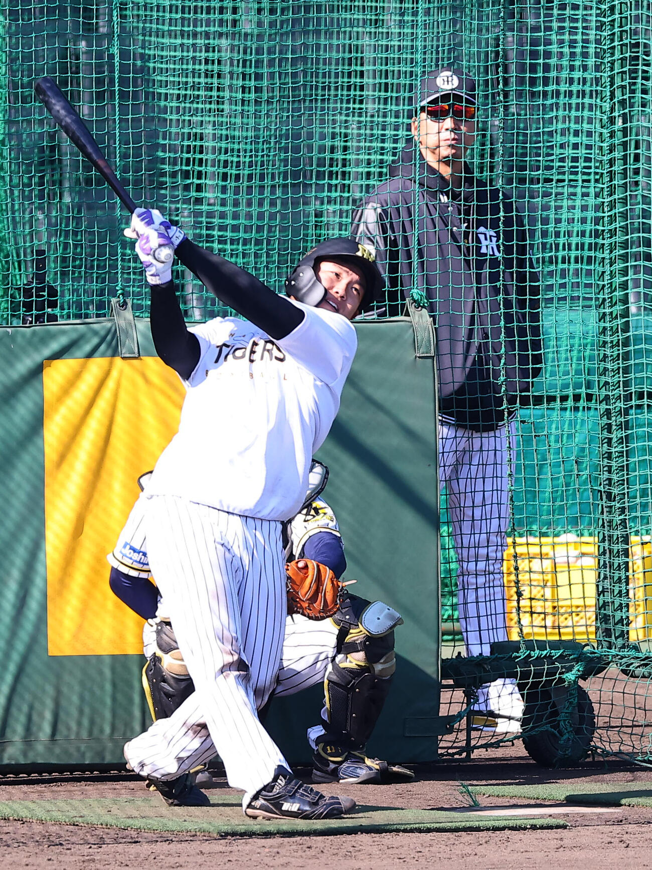 阪神対ヤクルト　嶋村の打撃練習をチェックする藤川監督（撮影・上田博志）
