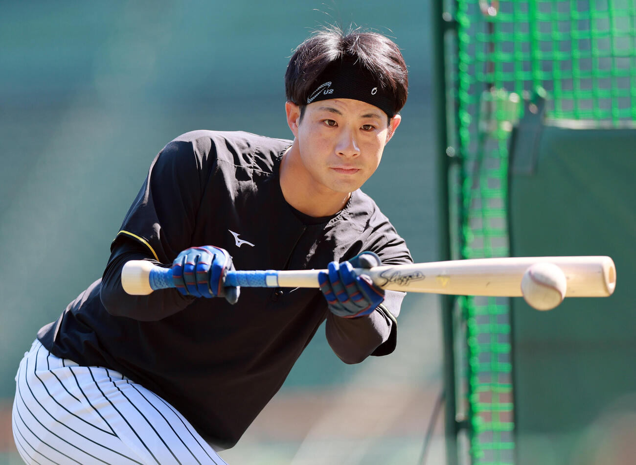 阪神対ヤクルト　試合前、バント練習する阪神木浪（撮影・上山淳一）