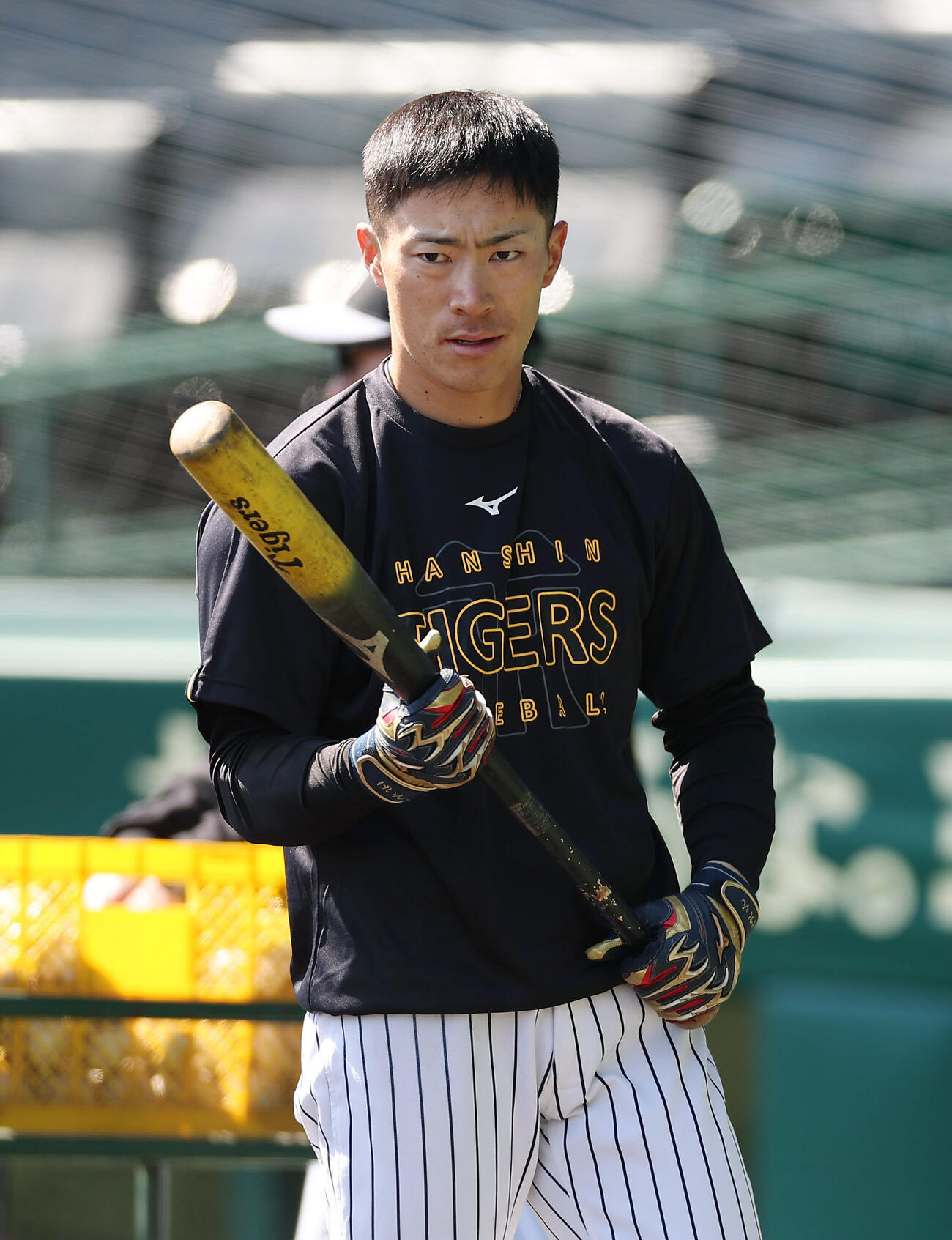 阪神対ヤクルト　試合前練習に臨む阪神福島（撮影・前田充）