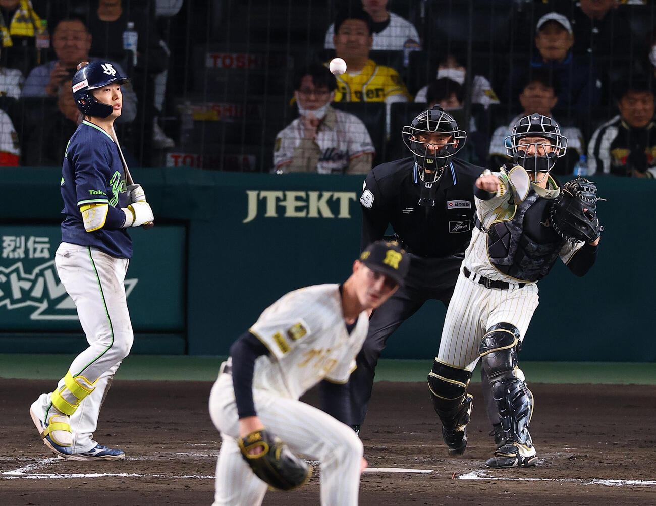 阪神対ヤクルト　3回表ヤクルト1死一塁、坂本は伊藤の二盗を阻止する（撮影・上田博志）