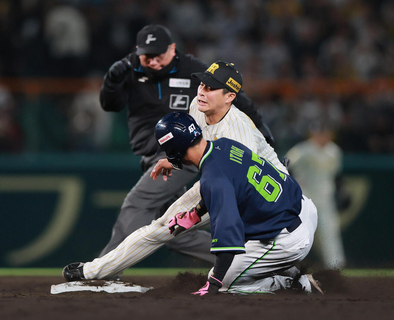 阪神対ヤクルト　3回表ヤクルト1死一塁、打者長岡の時、一走伊藤（手前）の二盗を阻止する遊撃手木浪（撮影・上山淳一）