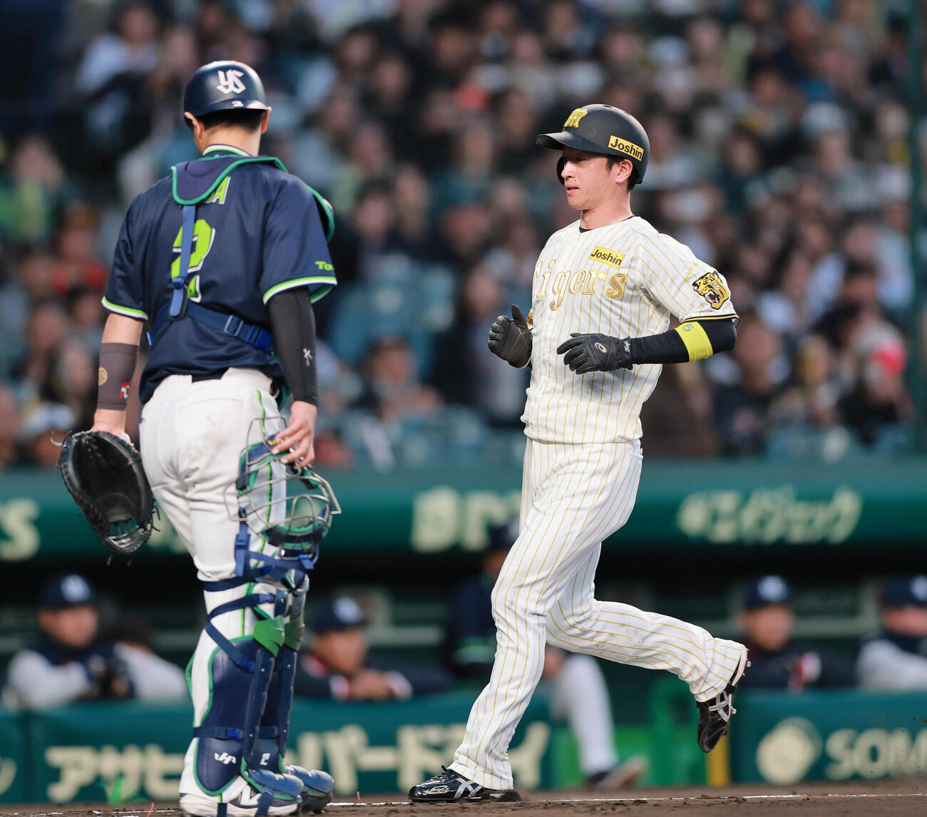 阪神対ヤクルト　1回裏阪神1死一、三塁、佐藤の左犠飛で生還する三走近本（撮影・上山淳一）
