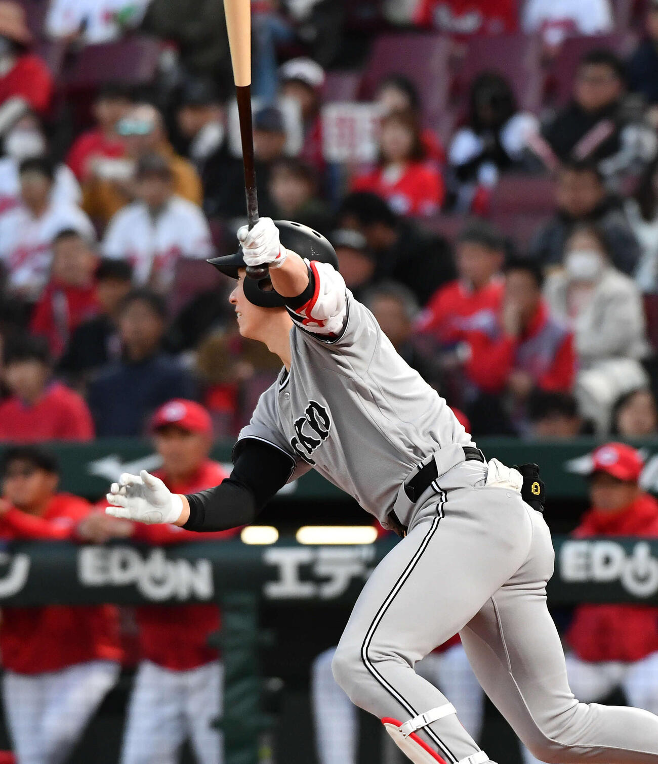 広島対巨人　2回表巨人1死一塁、松本は右前安打を放つ（撮影・岩下翔太）