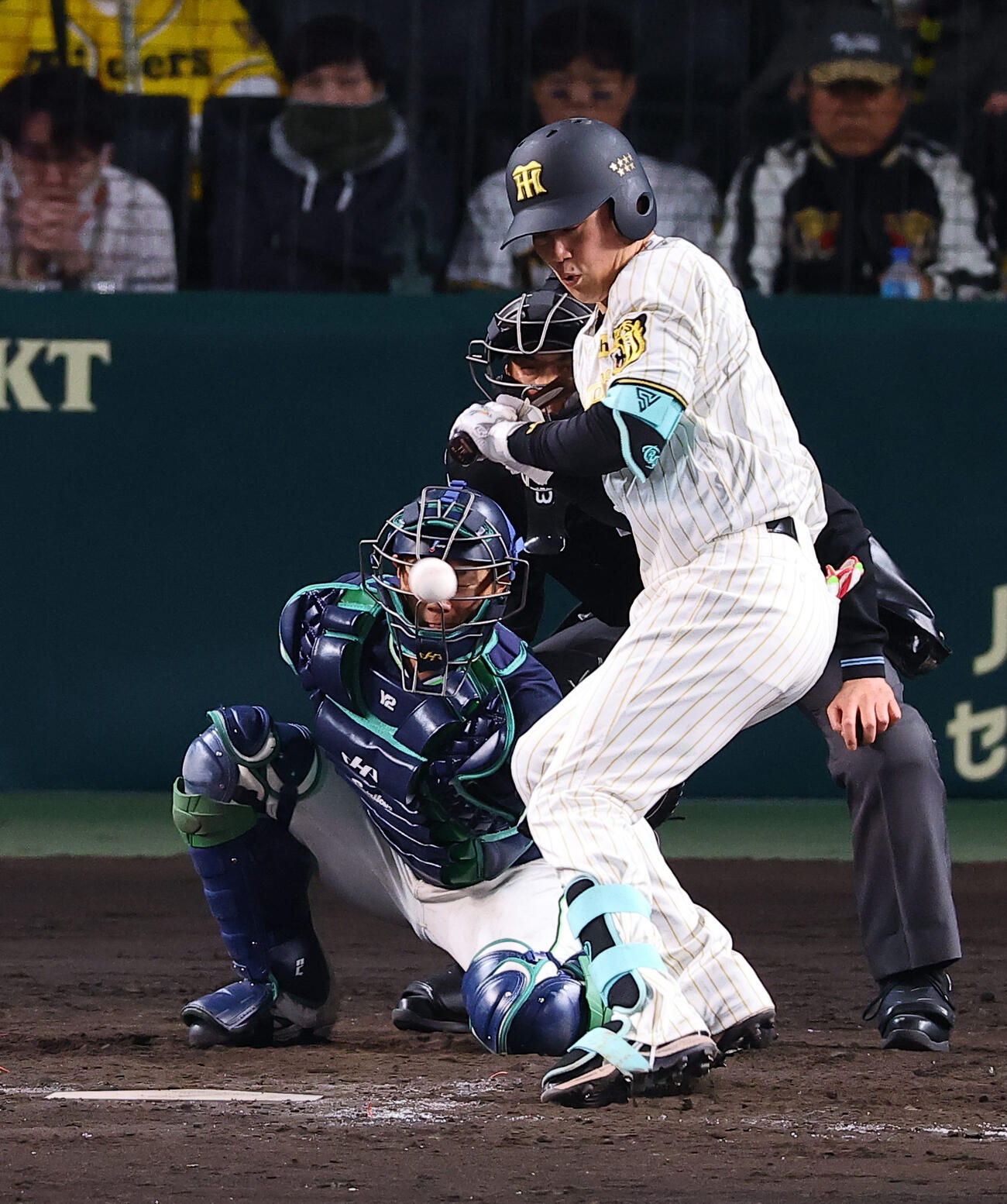 阪神対ヤクルト　9回裏阪神1死二塁、伏見は死球を受ける（撮影・上田博志）