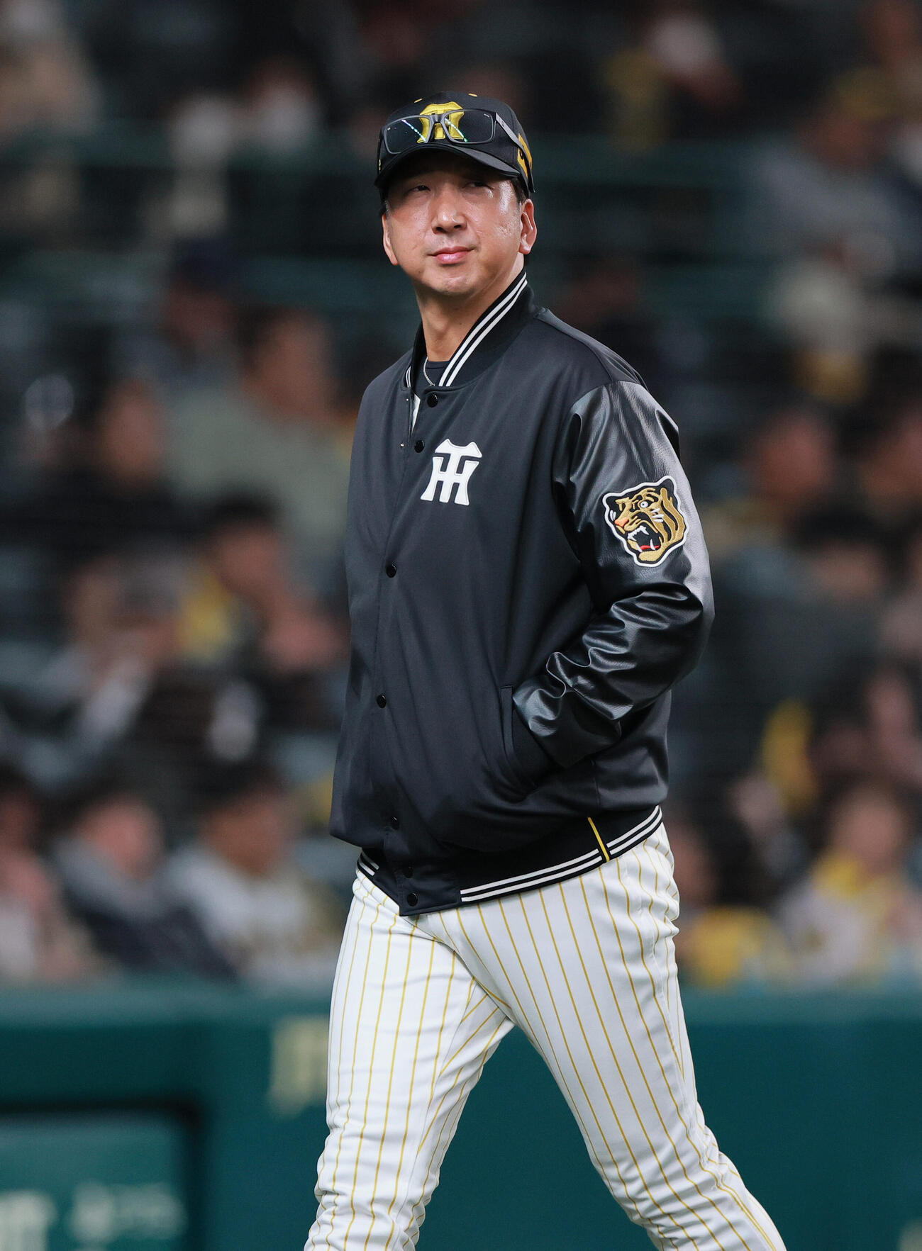 阪神対ヤクルト　7回を終え、阪神藤川監督は球審に交代を告げベンチに戻る（撮影・上山淳一）