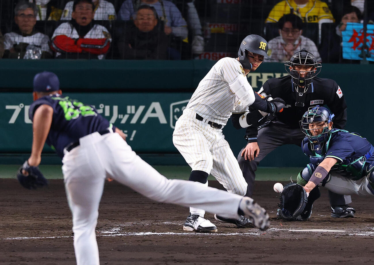 阪神対ヤクルト　8回裏阪神無死一塁、佐藤は四球を選ぶ（撮影・上田博志）