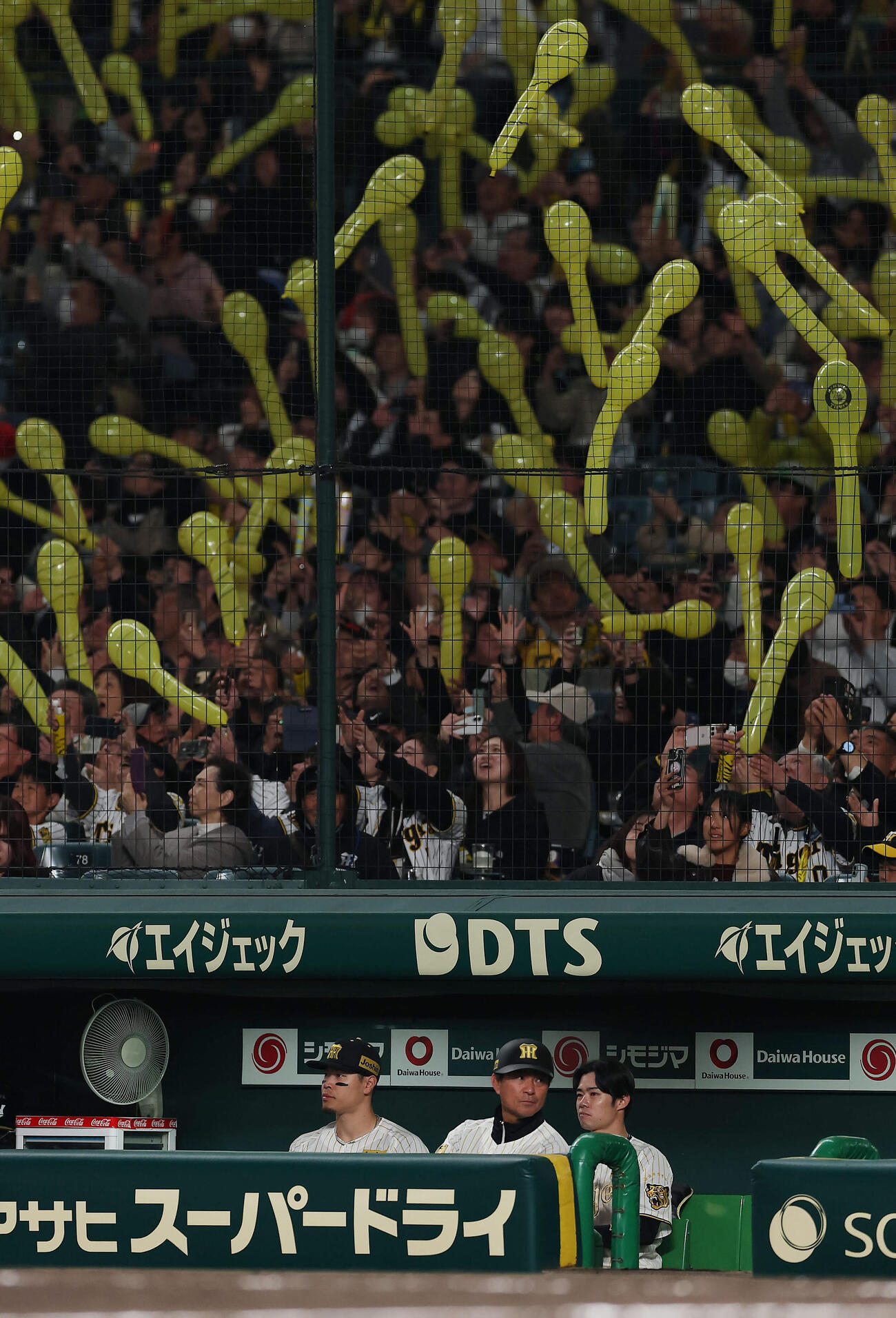 阪神対ヤクルト　7回裏の攻撃に備える阪神佐藤輝左）ら（撮影・前田充）