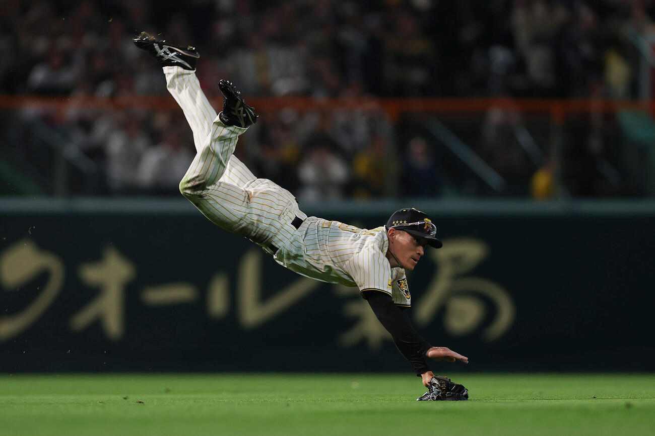 阪神対ヤクルト　6回表ヤクルト2死一、二塁、増田の左前打を放つ本塁へ送球する福島（撮影・前田充）