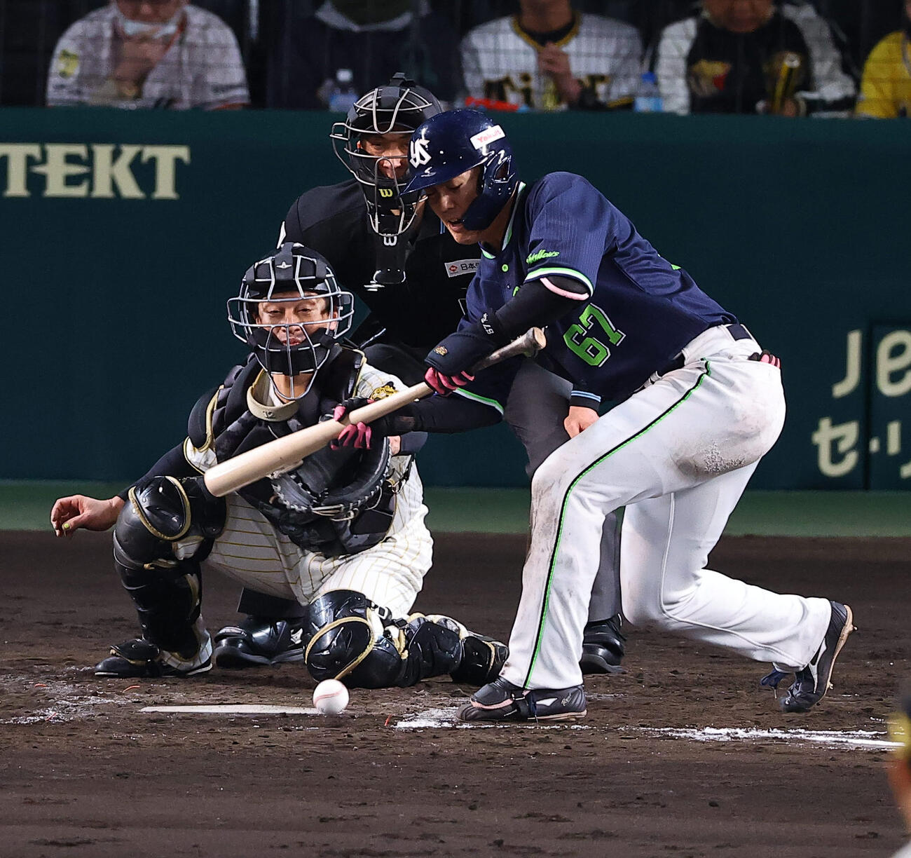 阪神対ヤクルト　5回表ヤクルト無死一、二塁、送りバントを決める伊藤（撮影・上田博志）