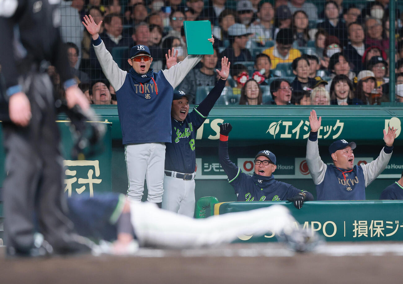 阪神対ヤクルト　6回表ヤクルト2死一、二塁、増田の適時打で二走古賀が生還しベンチで喜ぶ池山監督（左から3人目）ら（撮影・上山淳一）