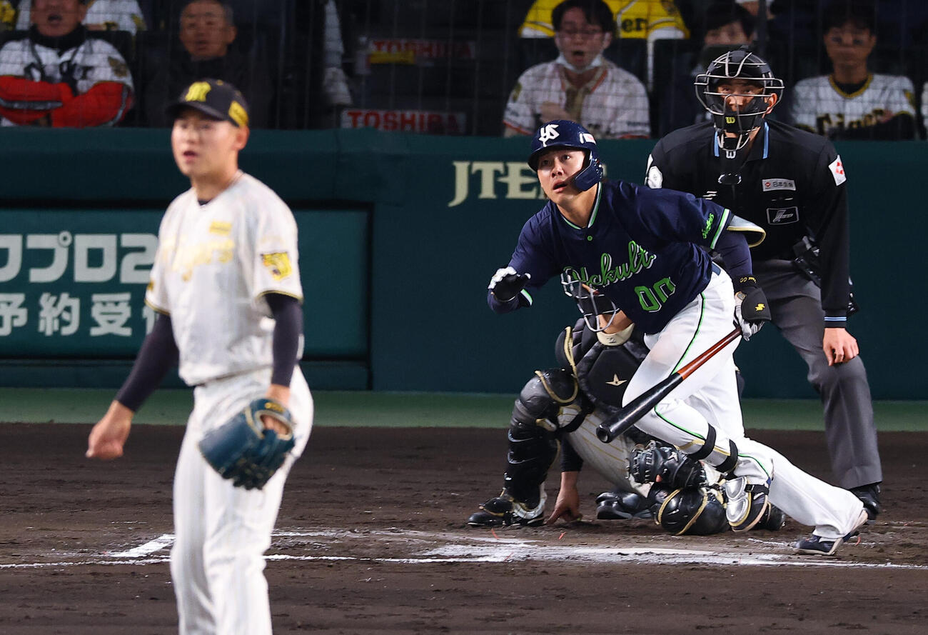 阪神対ヤクルト　6回表ヤクルト2死一、二塁、赤羽は勝ち越し適時二塁打を放つ（撮影・上田博志）