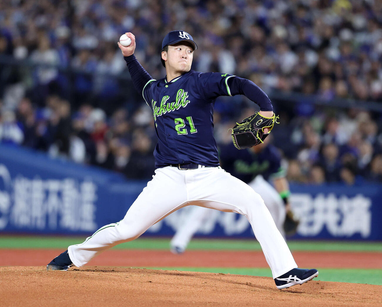 ヤクルト吉村貢司郎（2026年3月撮影）　