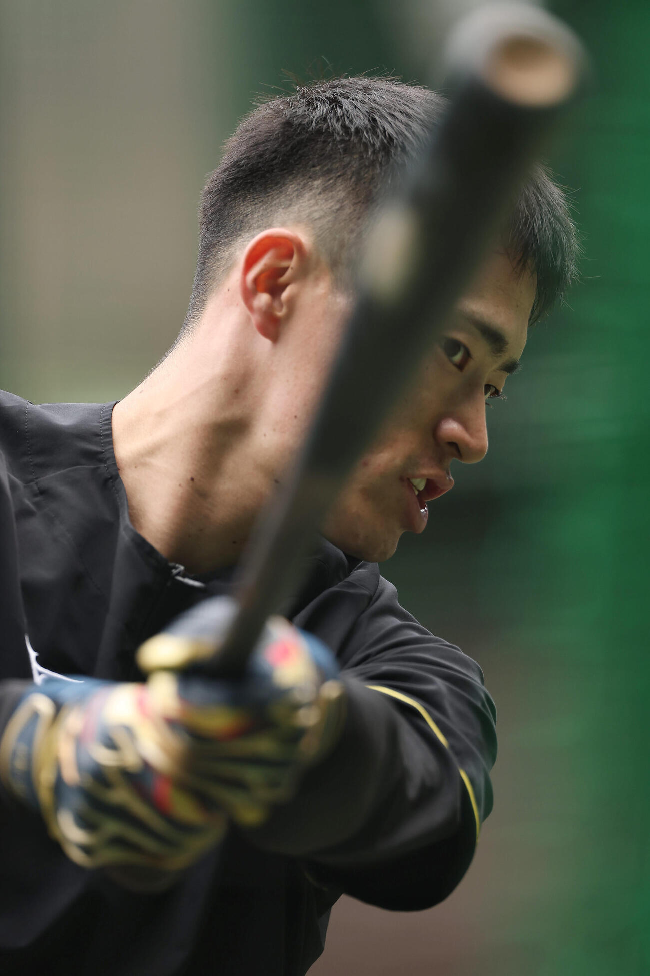 阪神対ヤクルト　打撃練習を行う阪神福島（撮影・前田充）
