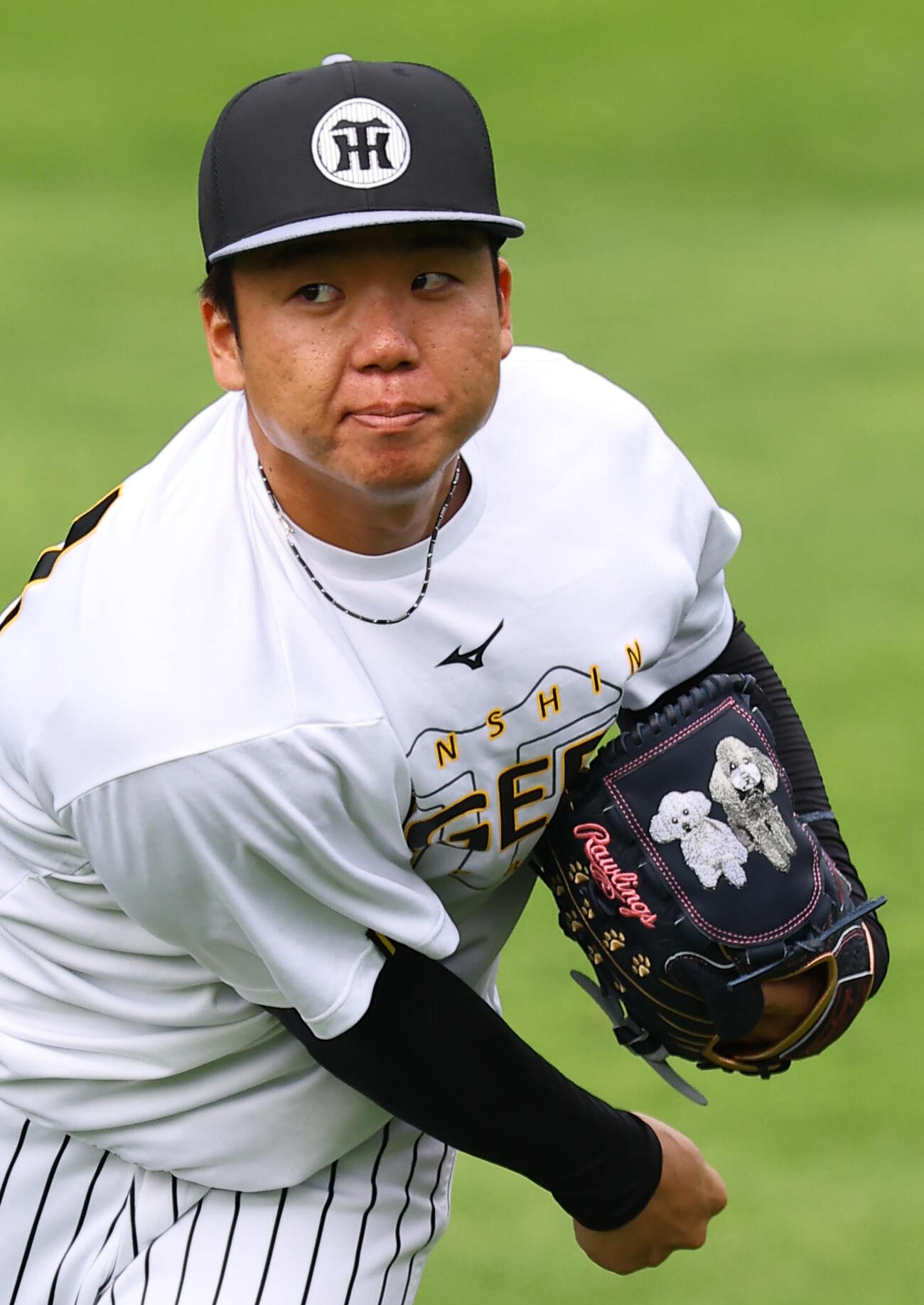 阪神対ヤクルト　キャッチボールをする阪神村上（撮影・上田博志）