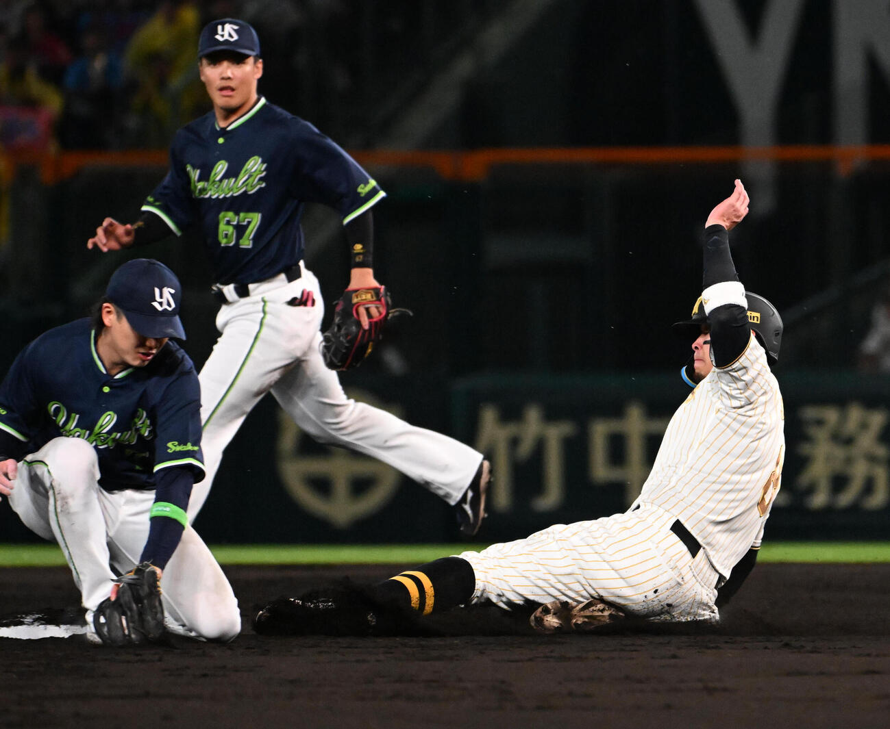 阪神対ヤクルト　2回裏阪神1死一塁、佐藤は二盗に成功する（撮影・石井愛子）