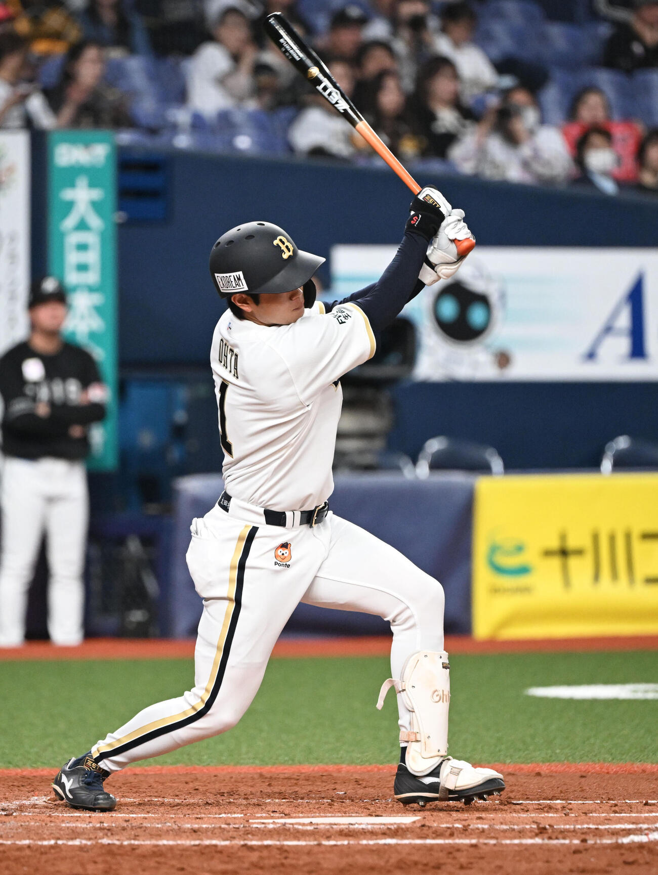 オリックス対ロッテ　3回裏オリックス2死満塁、右前適時打を放つ太田（撮影・和賀正仁）