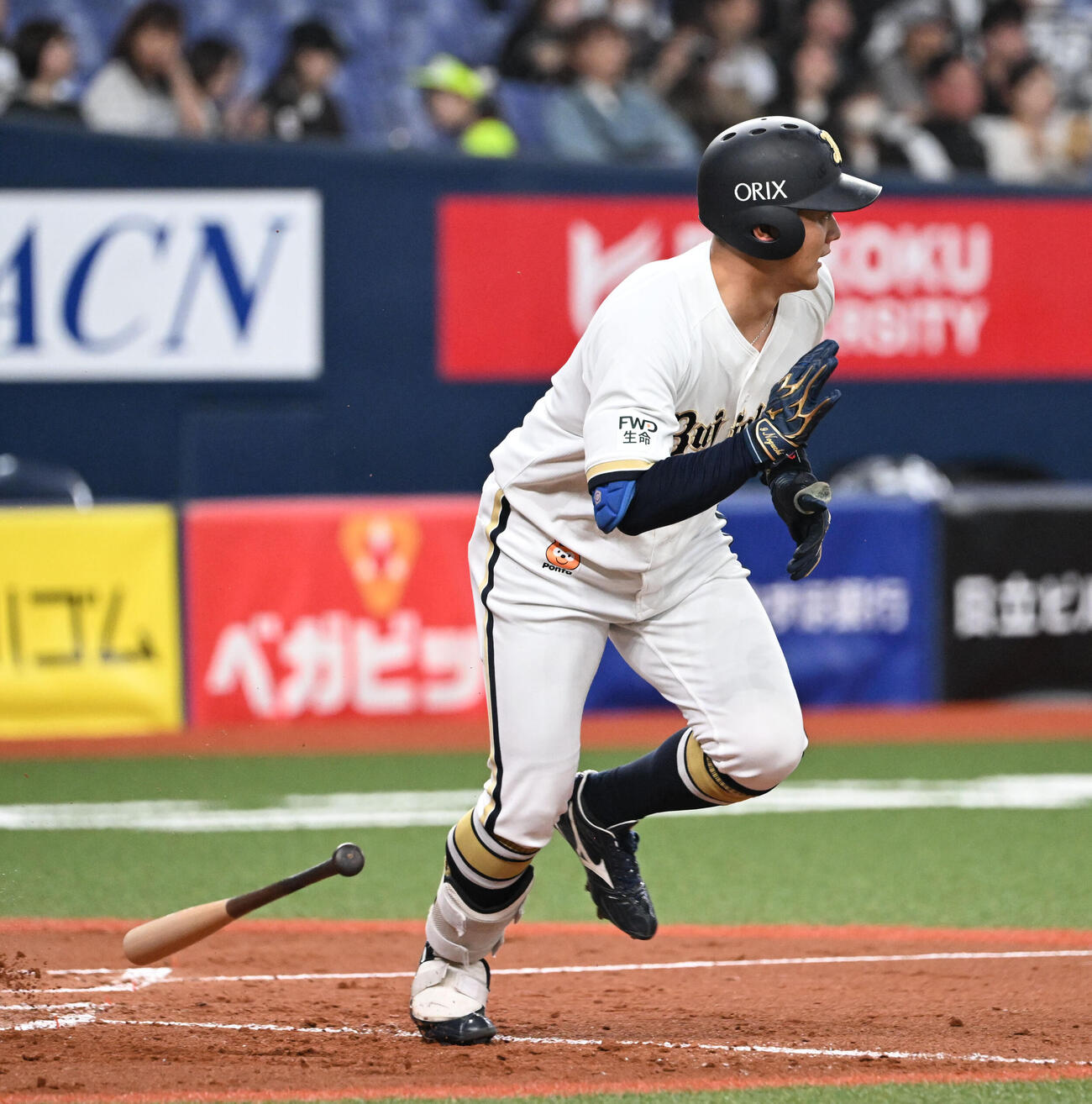 オリックス対ロッテ　3回裏オリックス1死、左前打を放つ野口（撮影・和賀正仁）