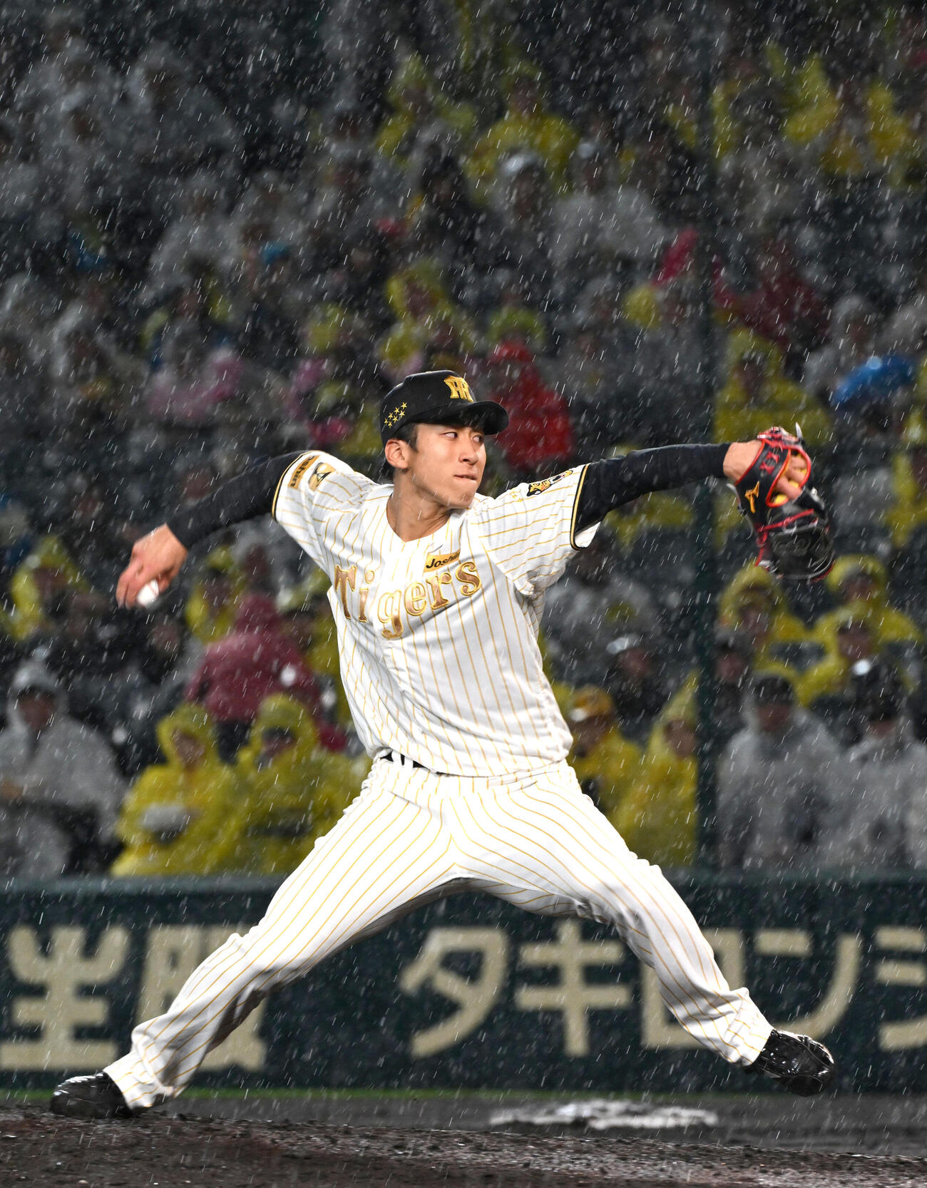 阪神対ヤクルト　雨が降る中、投球する阪神茨木（撮影・石井愛子）
