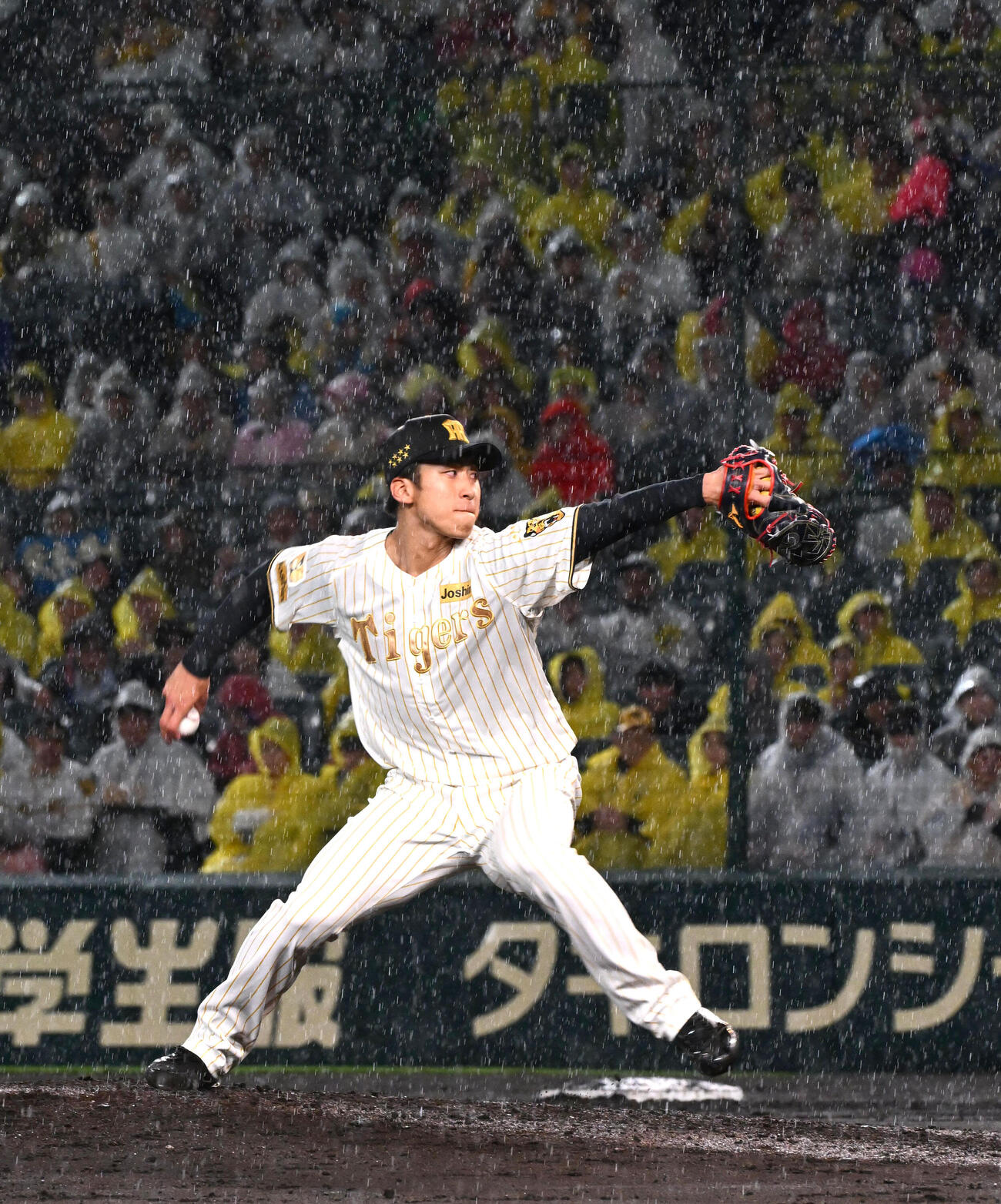 阪神対ヤクルト　雨が降る中、投球する阪神茨木（撮影・石井愛子）
