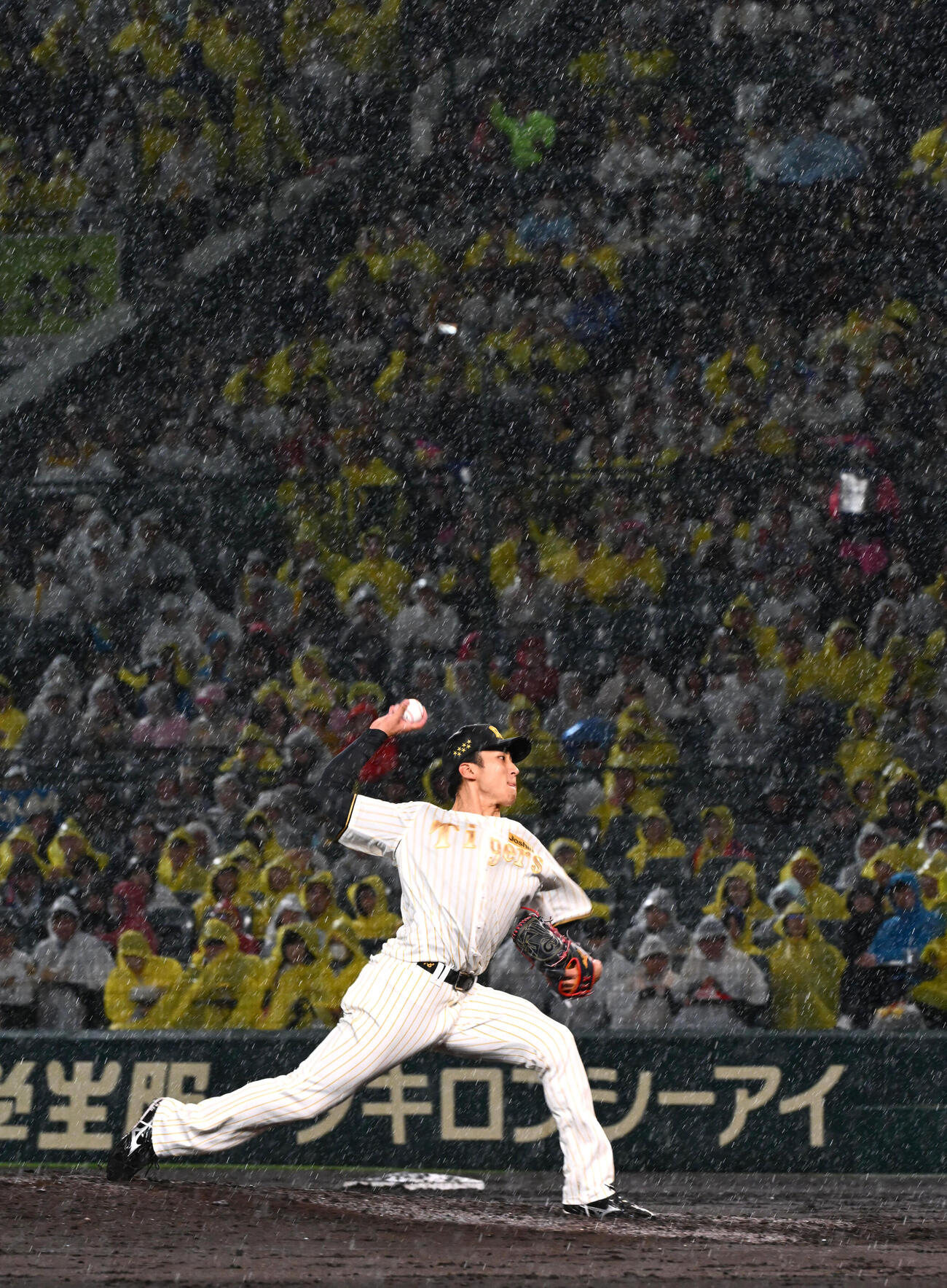 阪神対ヤクルト　雨が降る中、投球する阪神茨木（撮影・石井愛子）