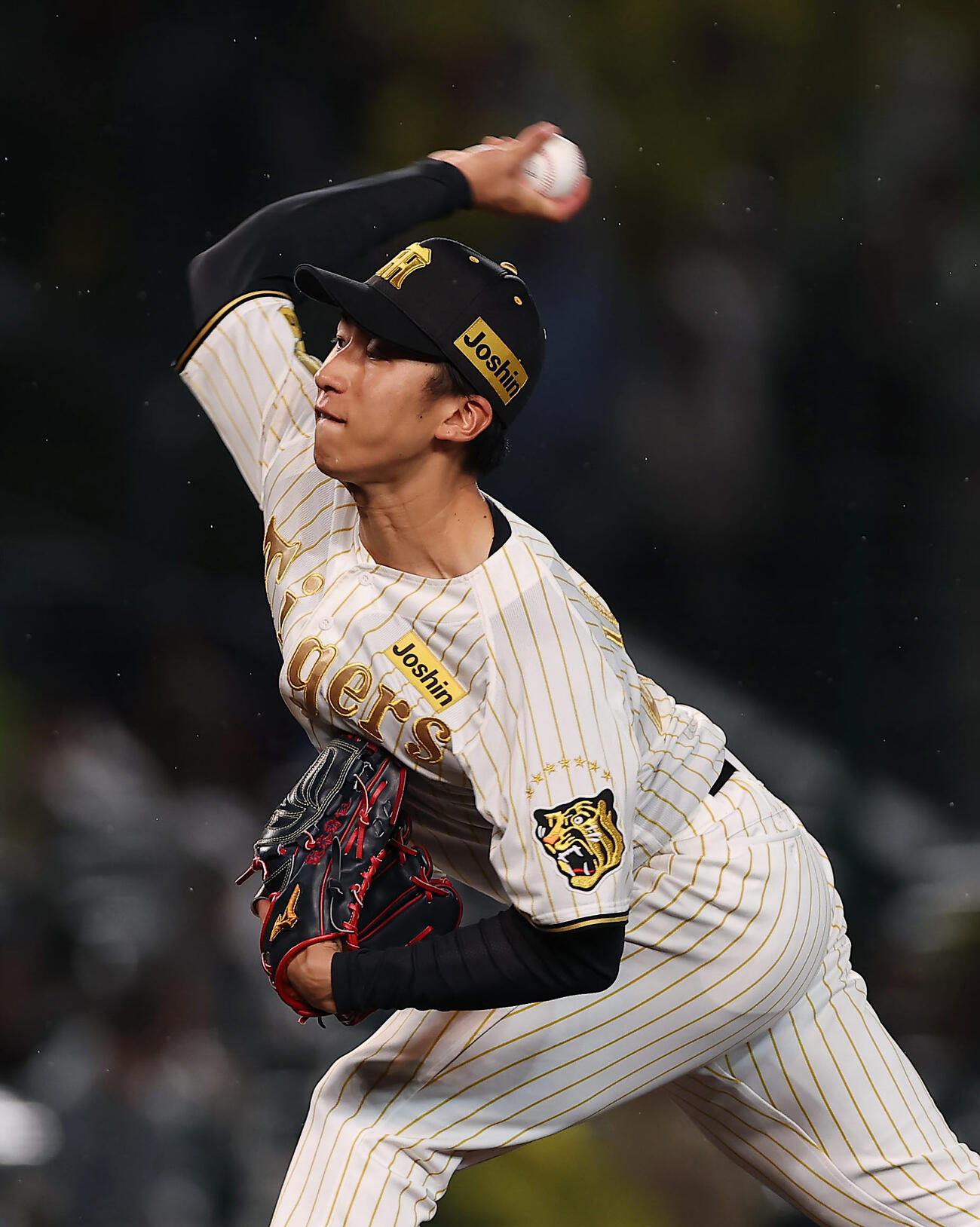 阪神対ヤクルト　力投する阪神先発の茨木（撮影・前田充）