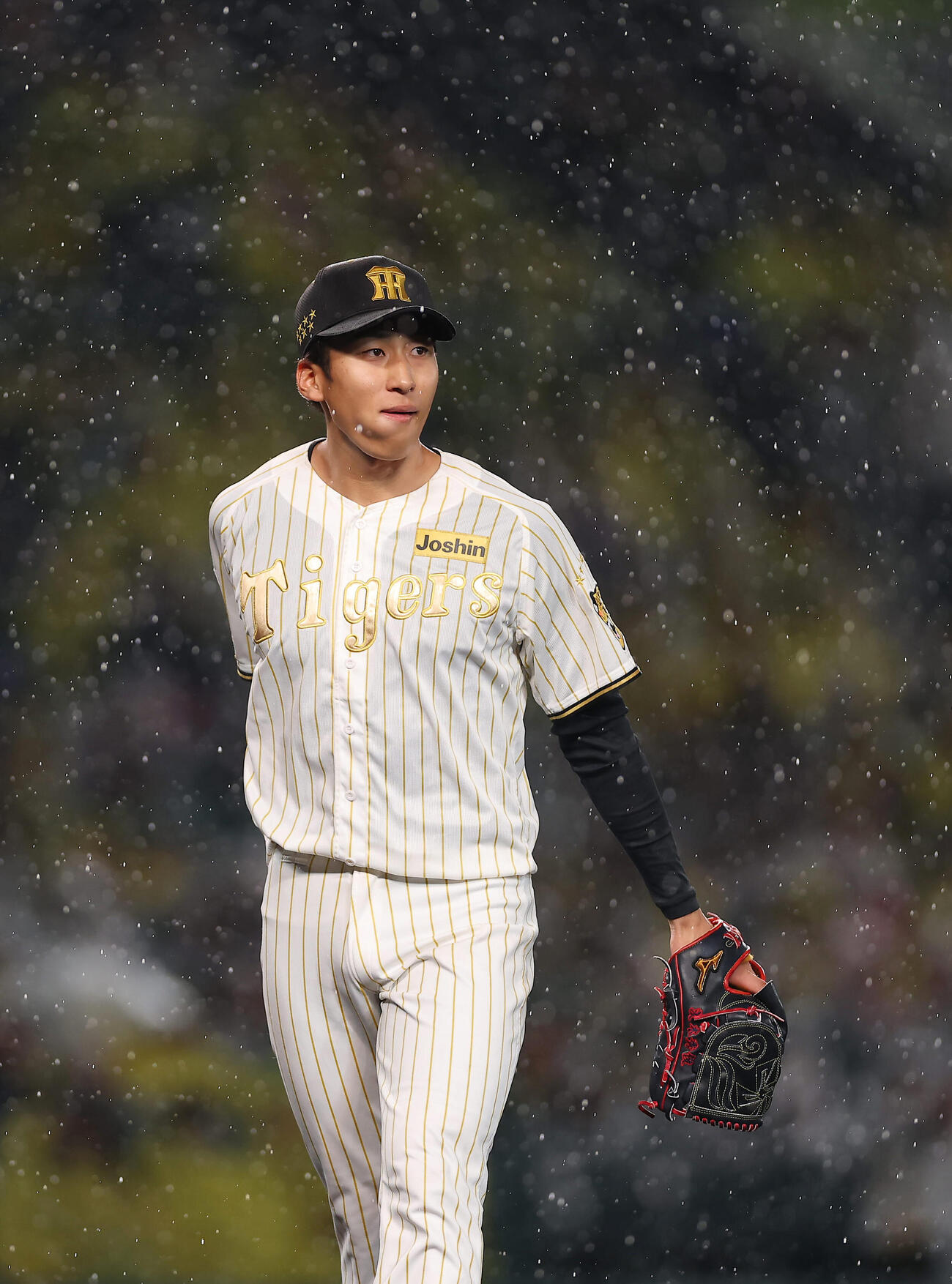 阪神対ヤクルト　6回表ヤクルト2死満塁、代打宮本を空振り三振に仕留めた茨木（撮影・前田充）