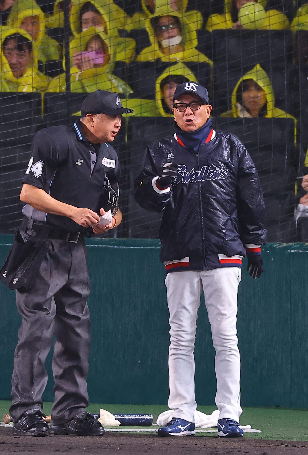 阪神対ヤクルト　選手交代を告げる池山監督（撮影・上田博志）