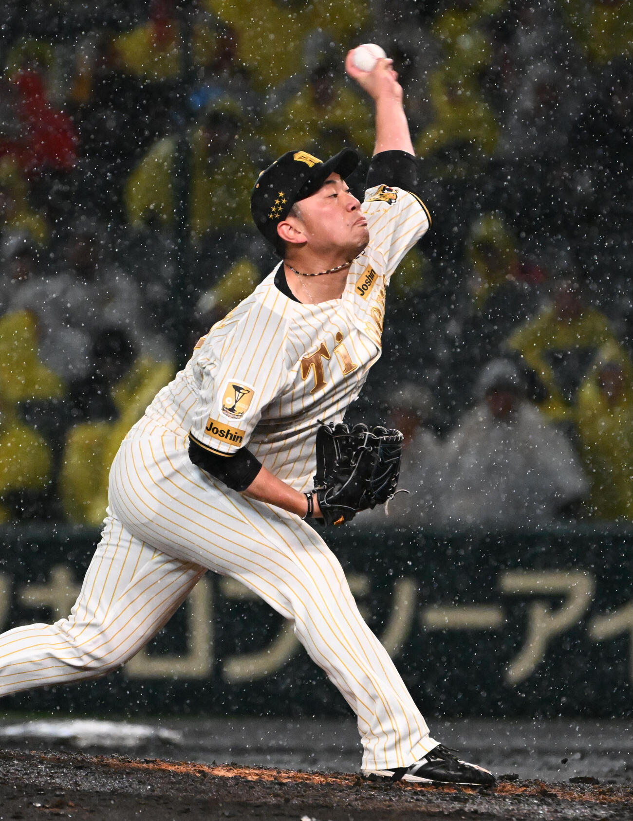 阪神対ヤクルト　阪神2番手の桐敷（撮影・石井愛子）