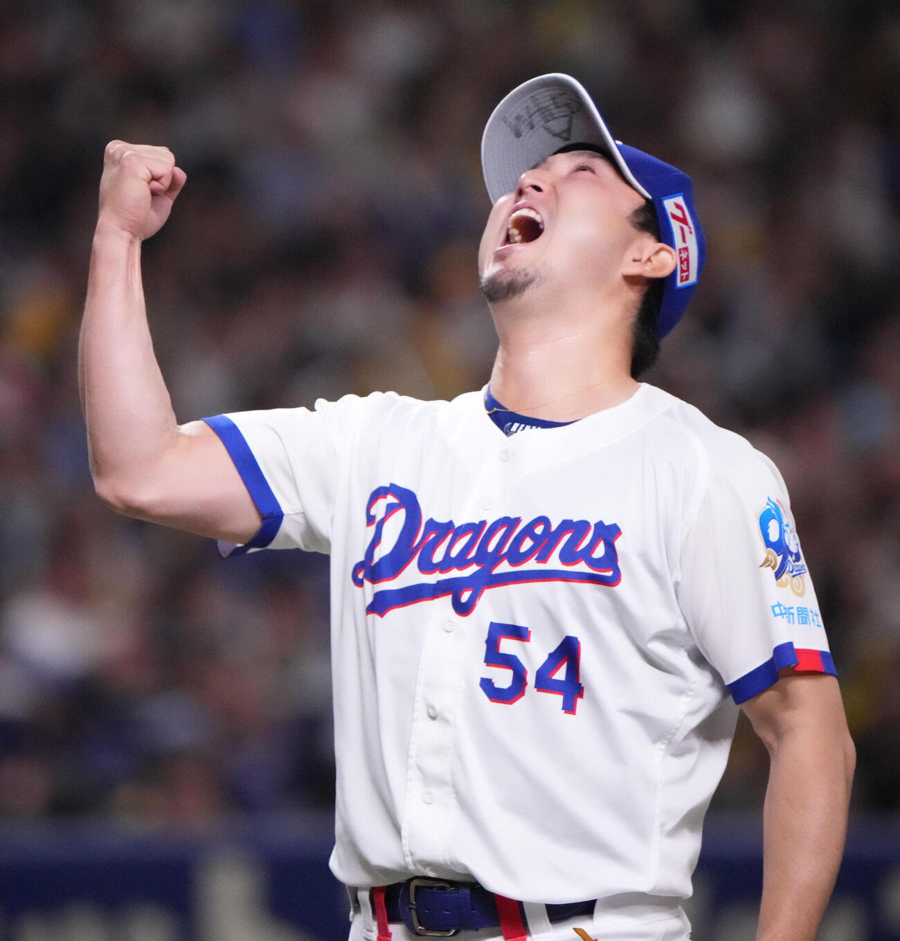 中日対阪神　8回表阪神2死二塁、森下を左飛に仕留めほえる藤嶋（撮影・森本幸一）