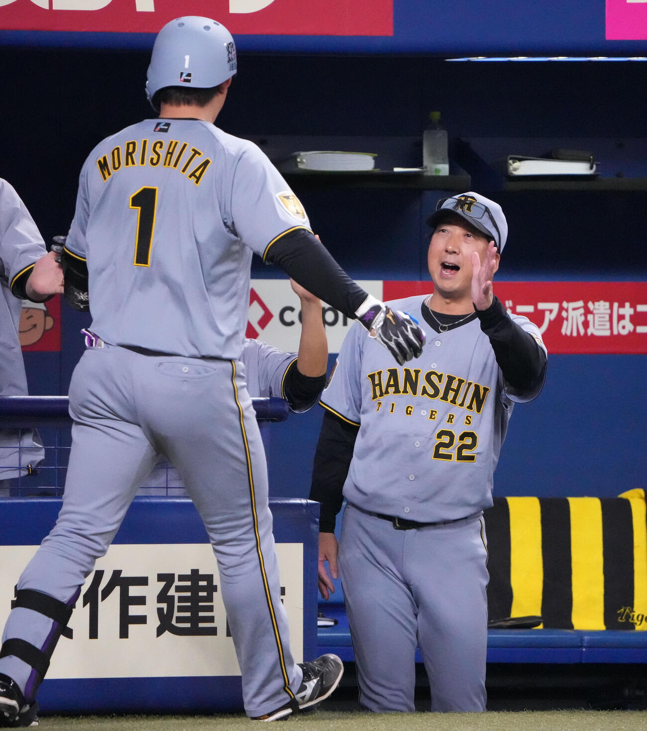 中日対阪神　6回表阪神1死、藤川監督（右）は本塁打を放った森下を迎える（撮影・森本幸一）