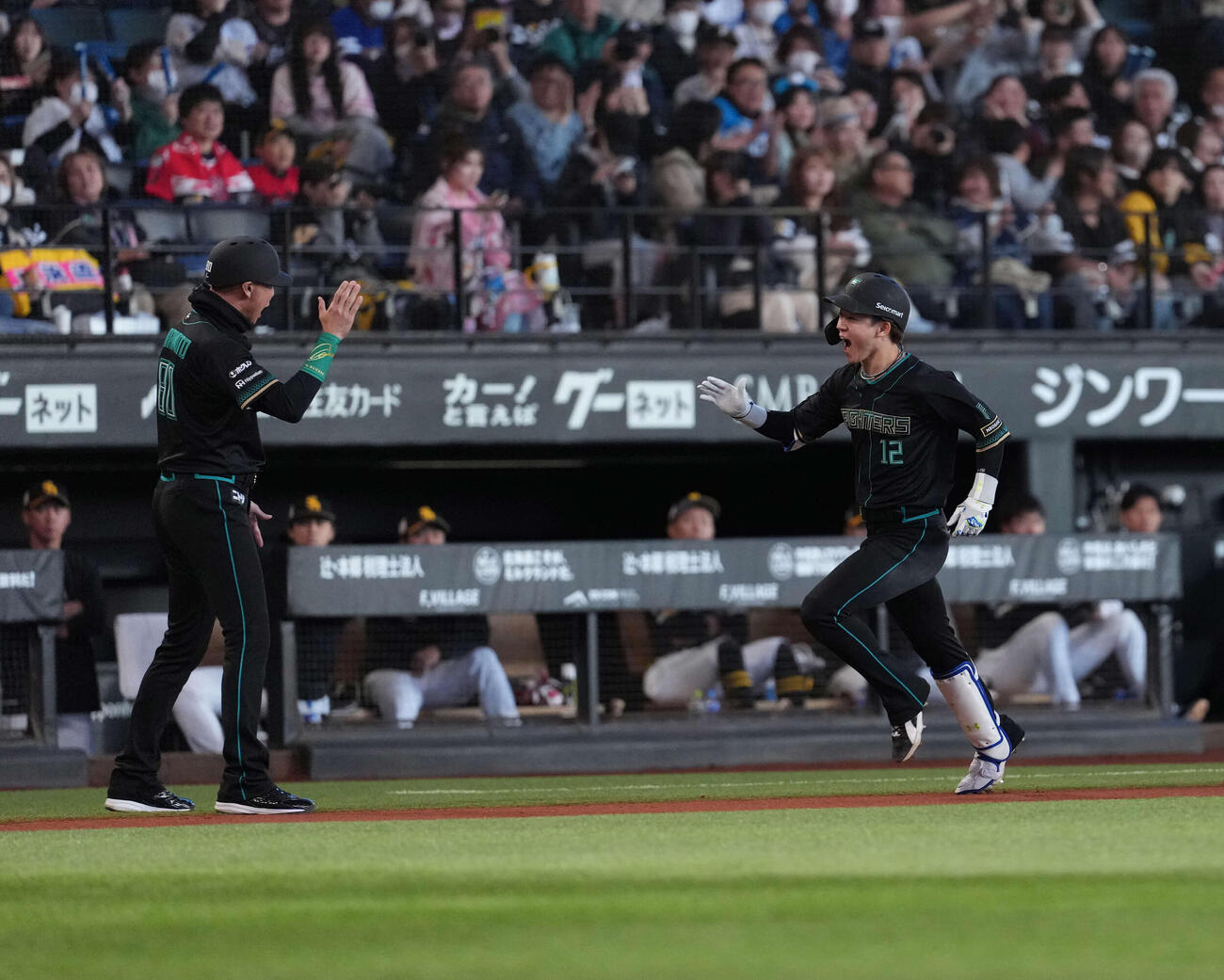日本ハム対ソフトバンク　1回裏日本ハム無死、本塁打を放つ矢沢（撮影・井上学）