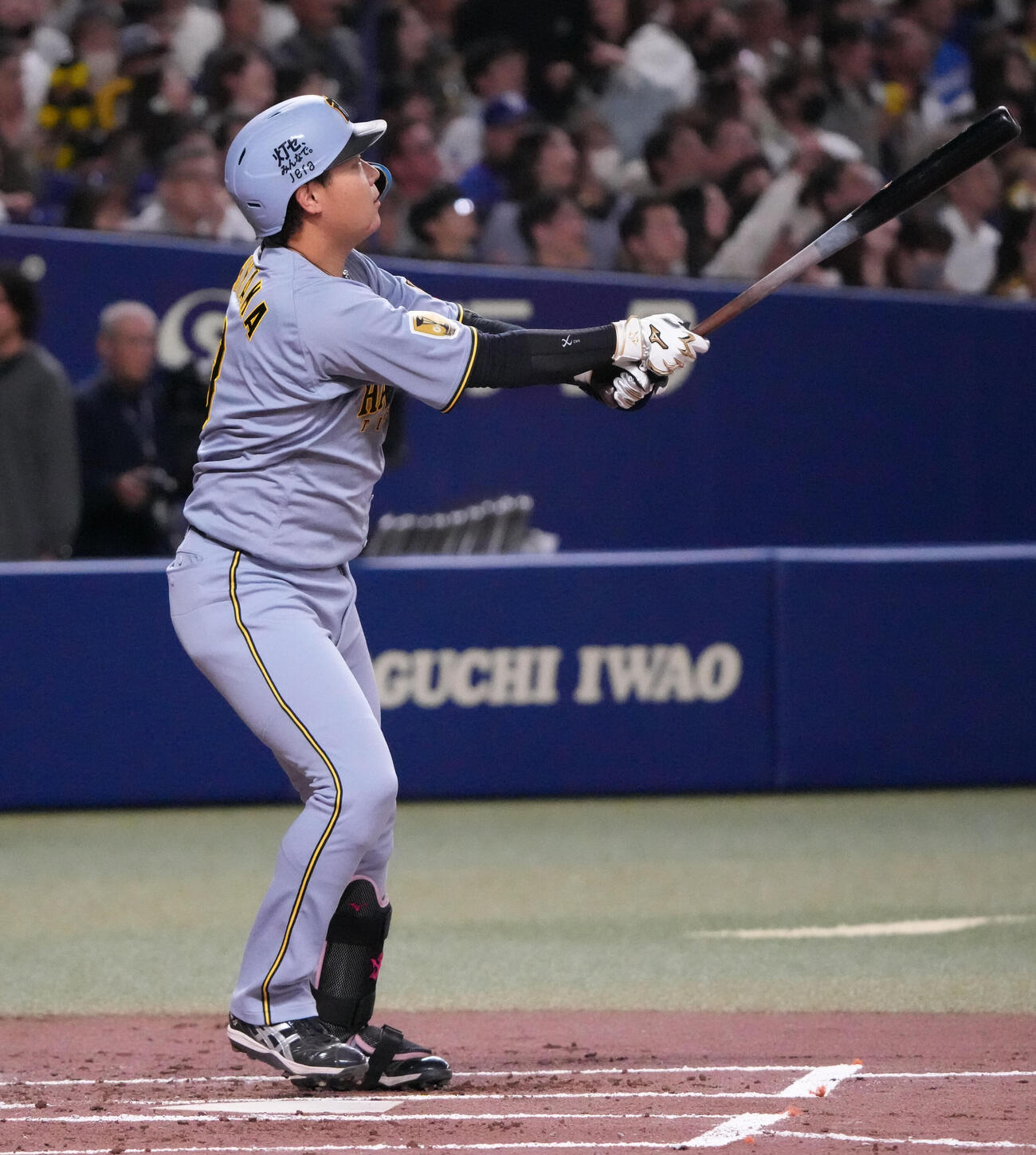 中日対阪神　2回表阪神無死、本塁打を放つ大山（撮影・森本幸一）