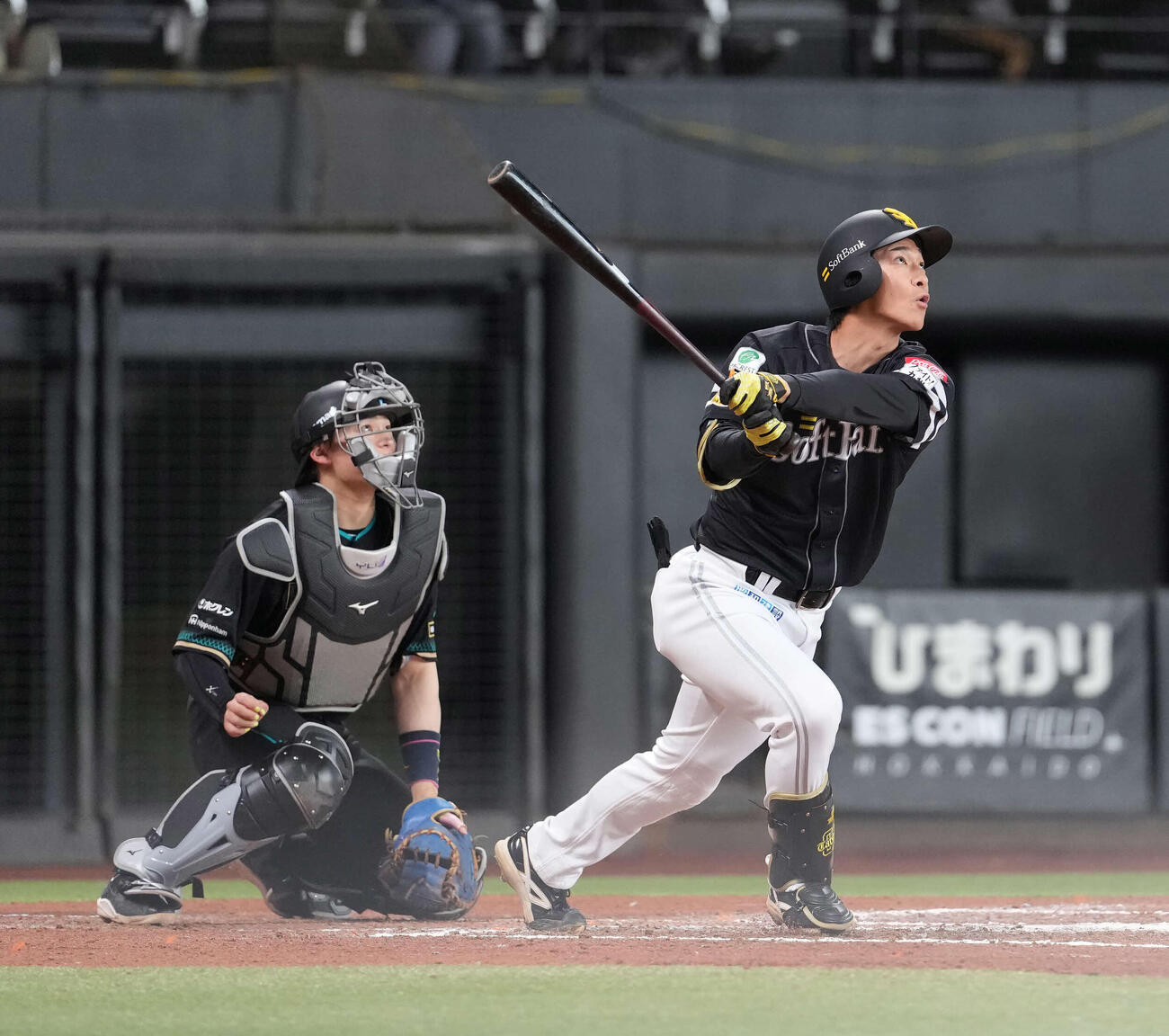日本ハム対ソフトバンク　6回表ソフトバンク1死満塁、、犠飛を放つ柳町（撮影・井上学）