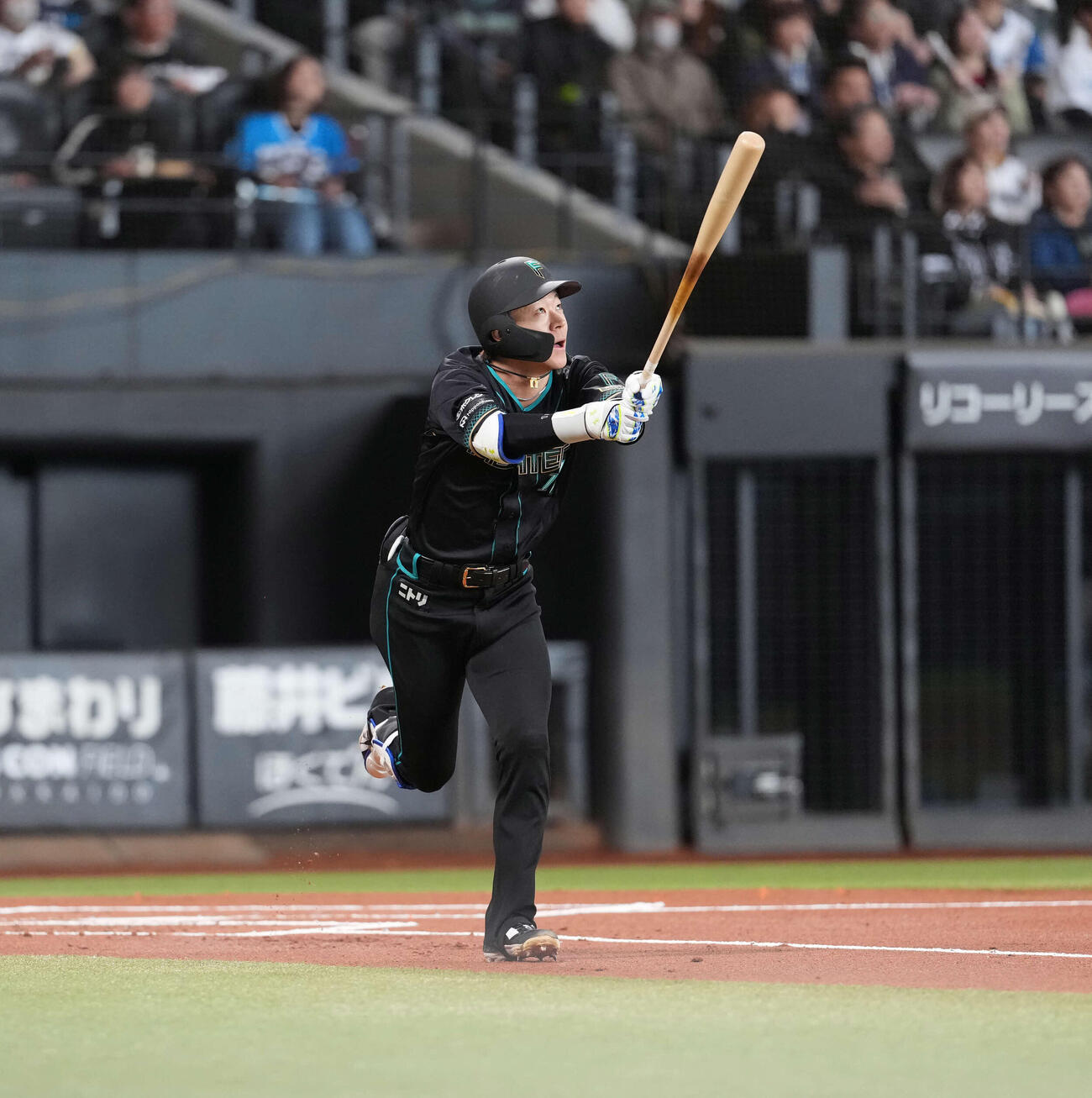 日本ハム対ソフトバンク　1回裏日本ハム無死、本塁打を放つ矢沢（撮影・井上学）