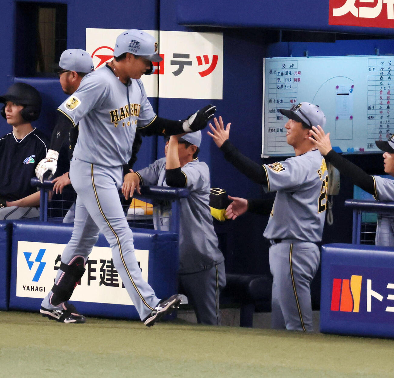 中日対阪神　2回表阪神無死、ソロ本塁打を放った大山（左）はベンチの藤川監督とタッチする（撮影・加藤哉）